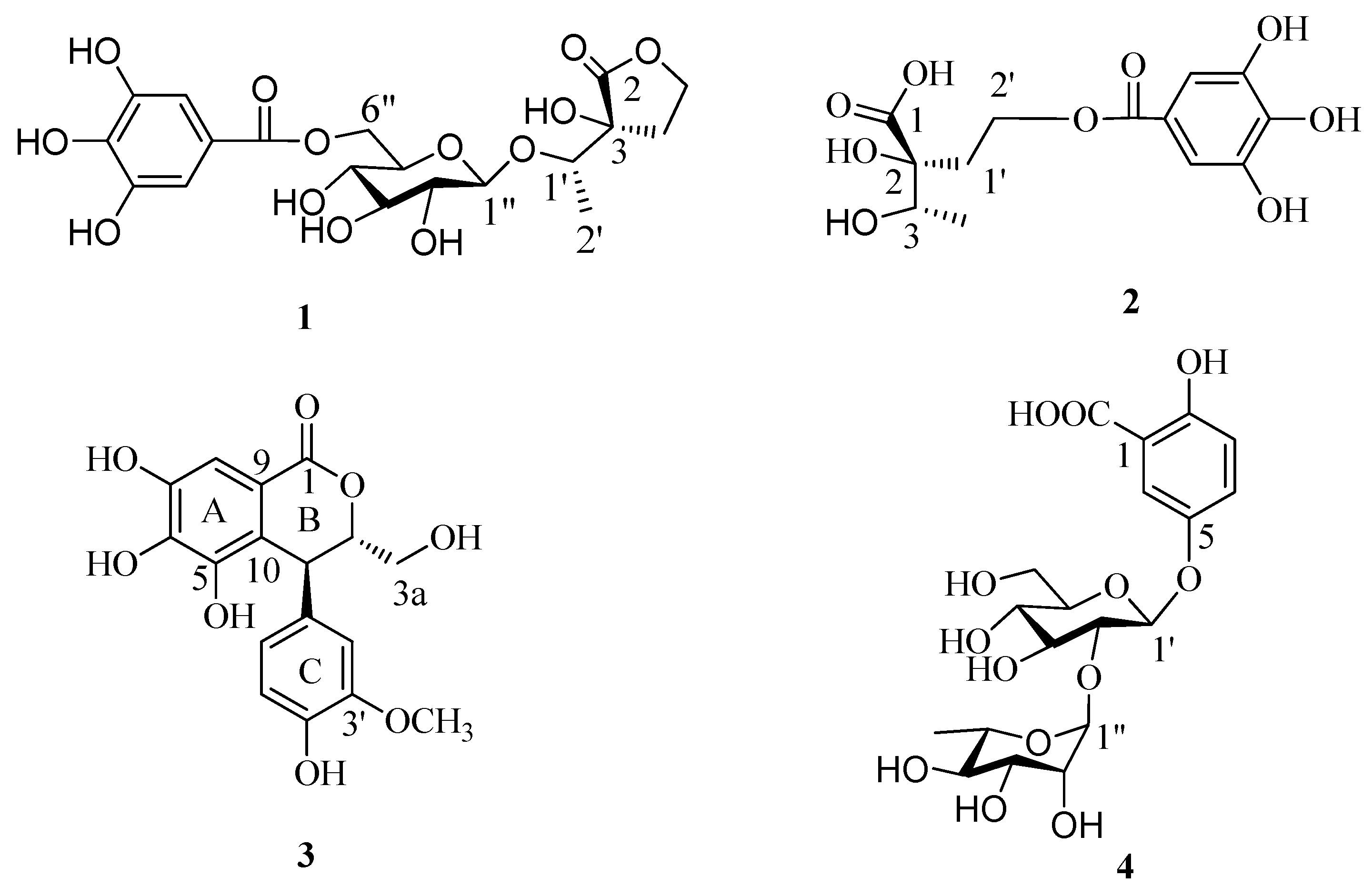 Molecules 22 00162 g001