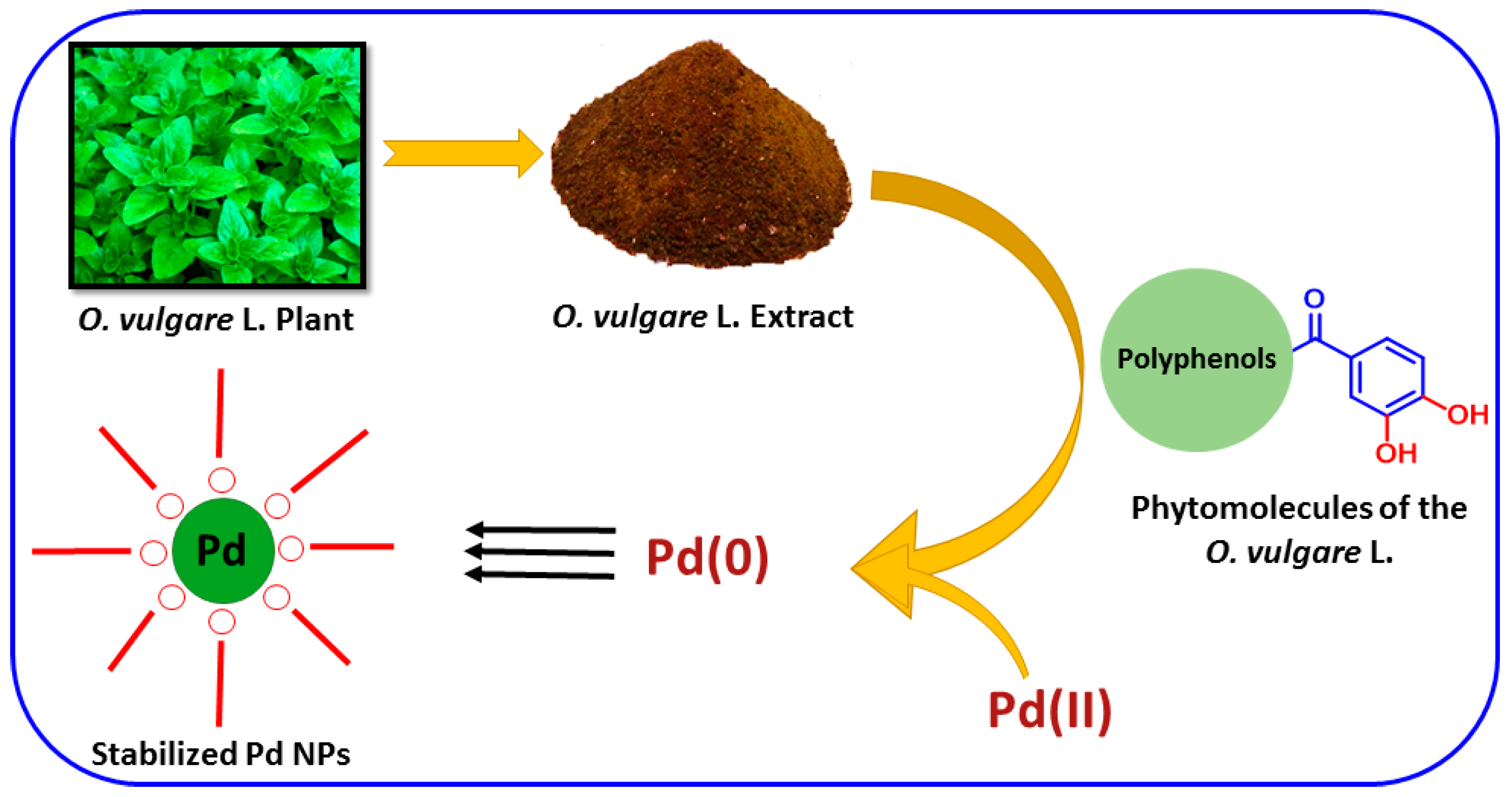 Molecules 22 00165 g006