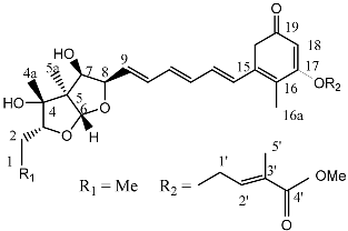 Molecules 22 00176 i009