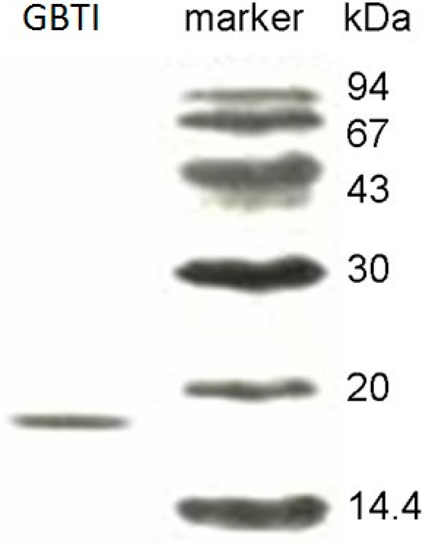 Molecules 22 00187 g001