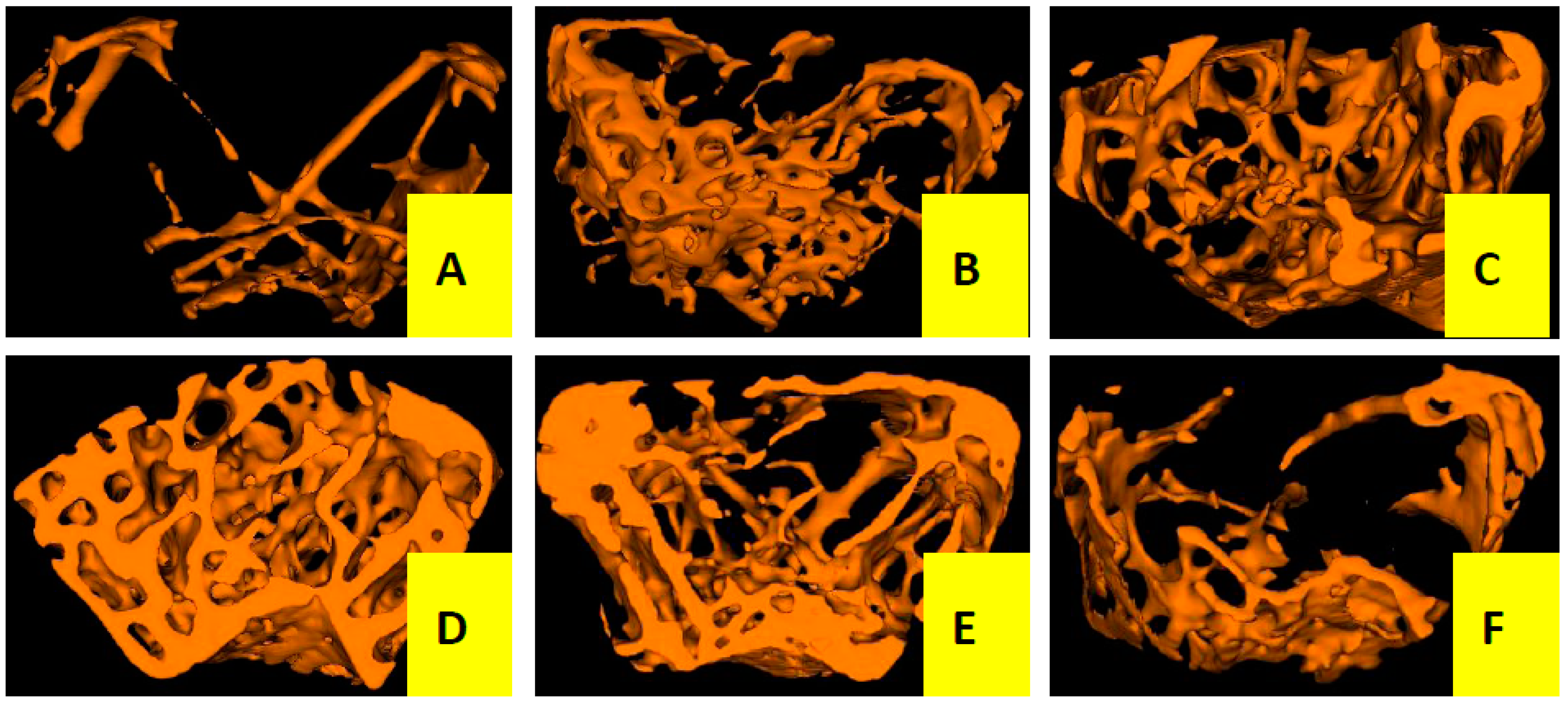 Molecules 22 00197 g002