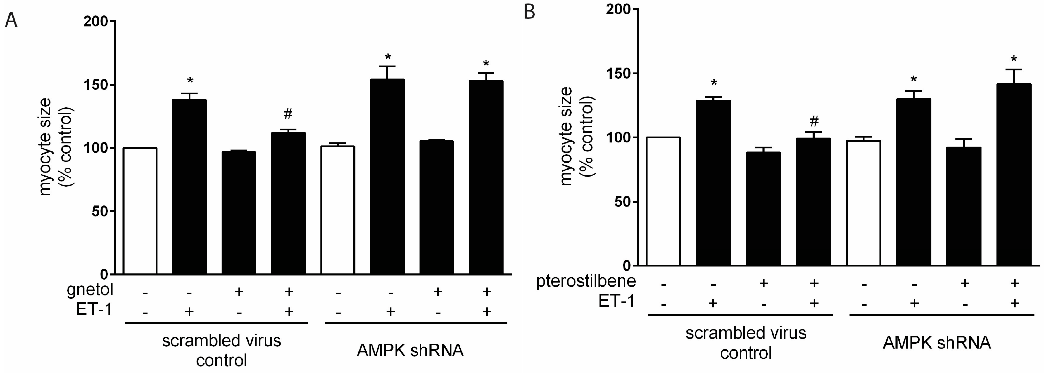 Molecules 22 00204 g004