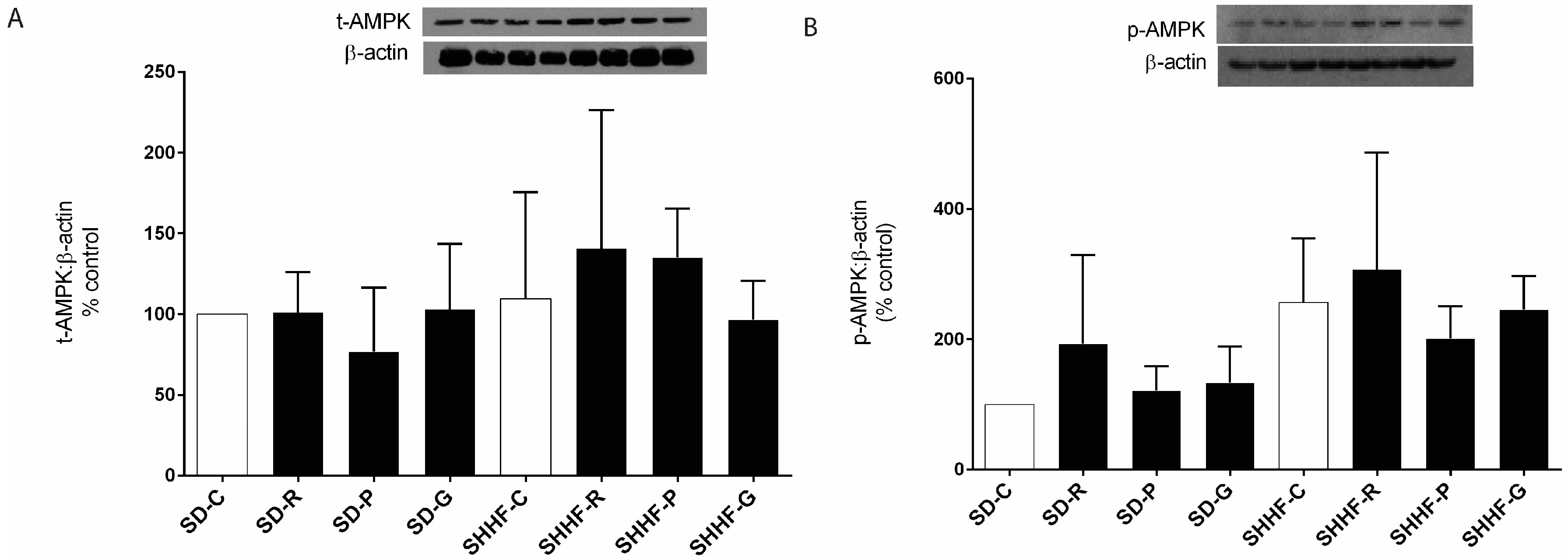 Molecules 22 00204 g006