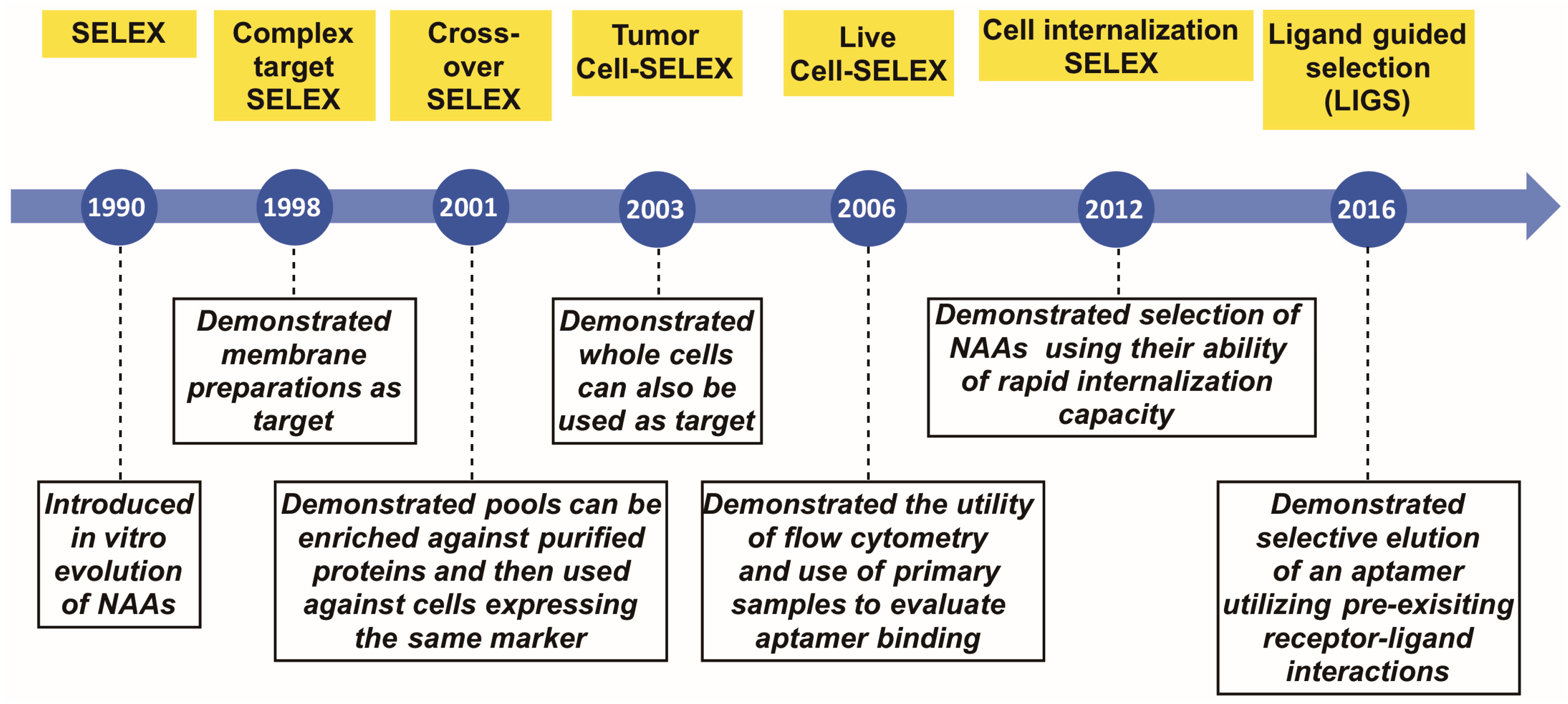 Molecules 22 00215 g001