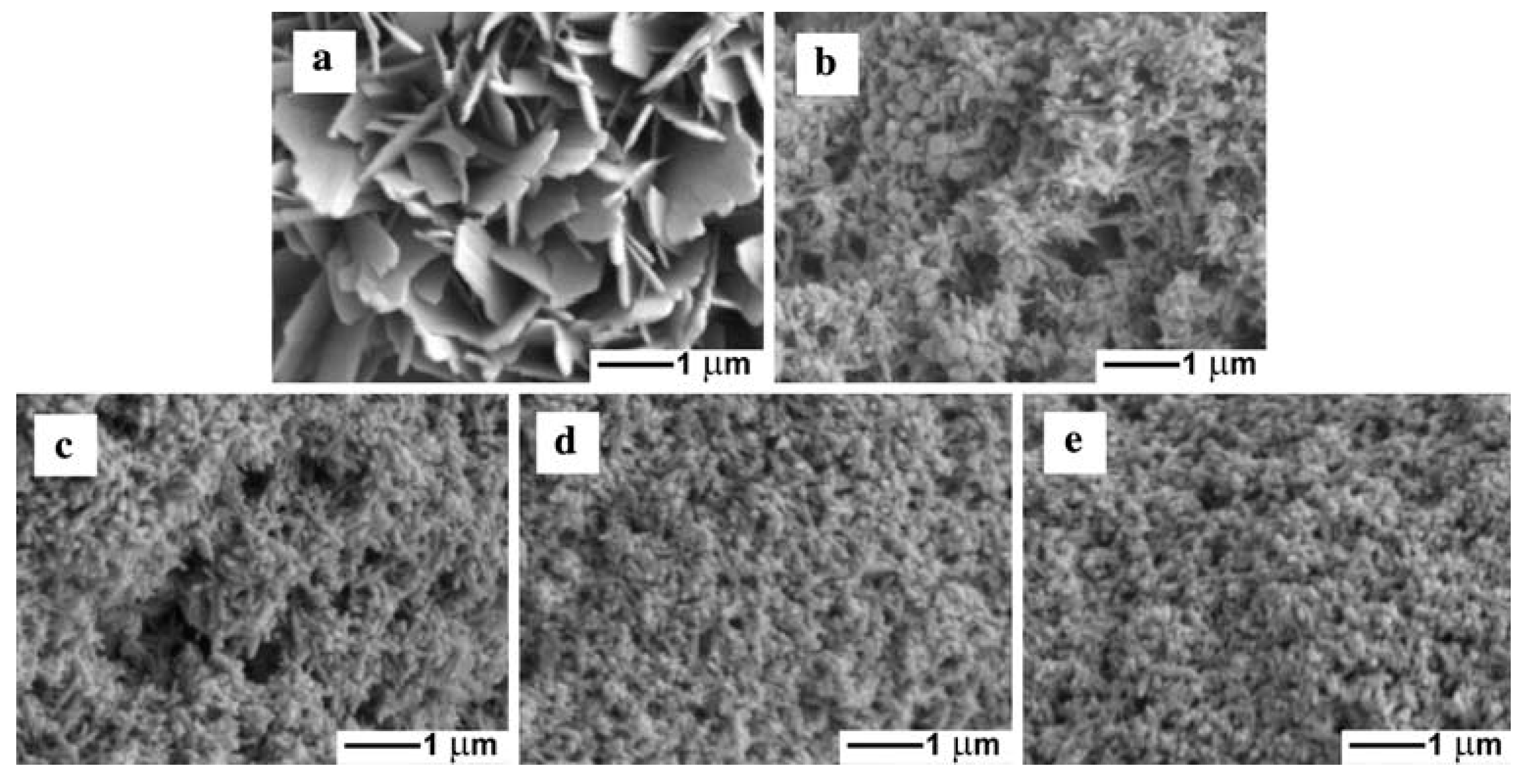 Molecules 22 00216 g006