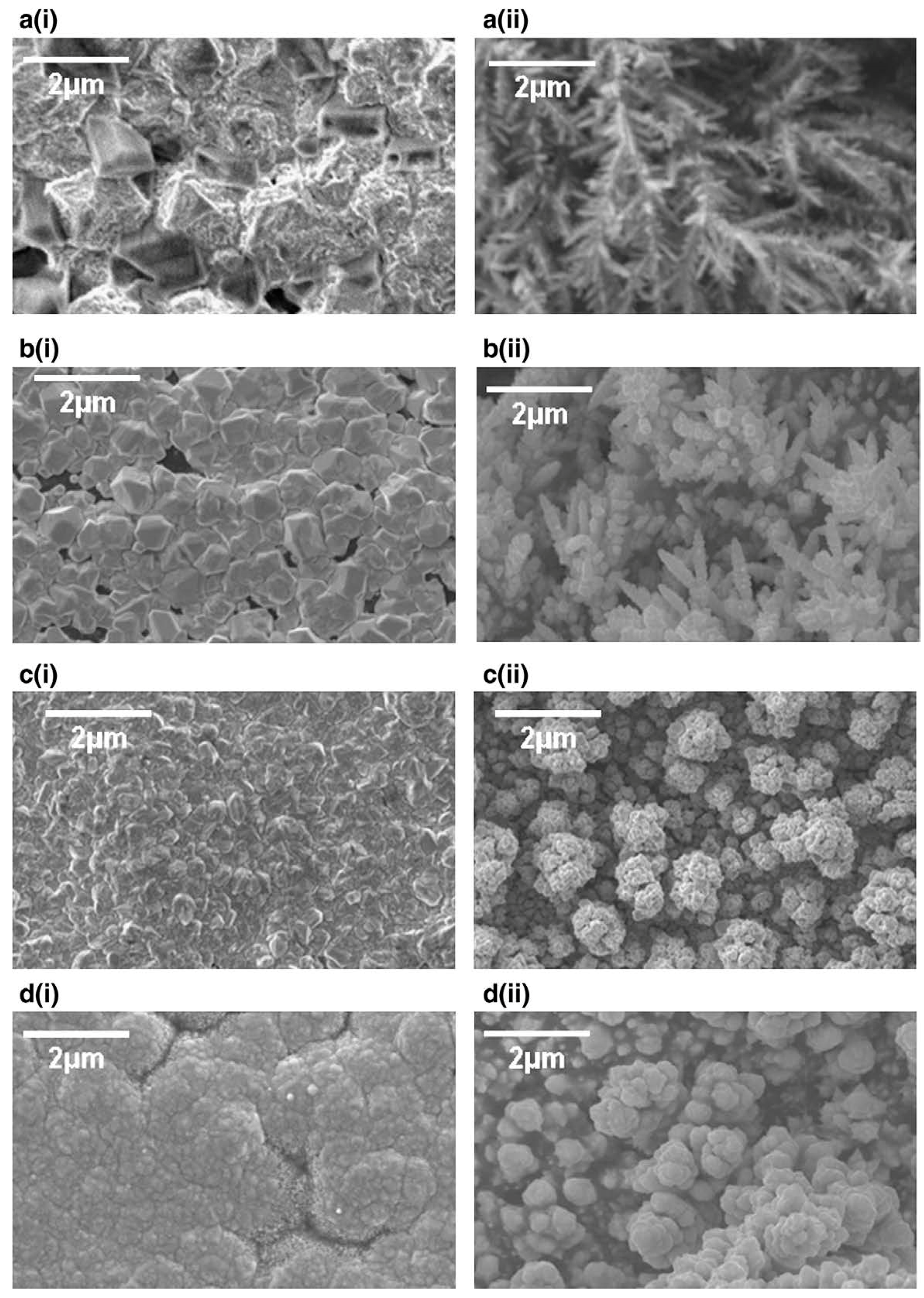 Molecules 22 00216 g008