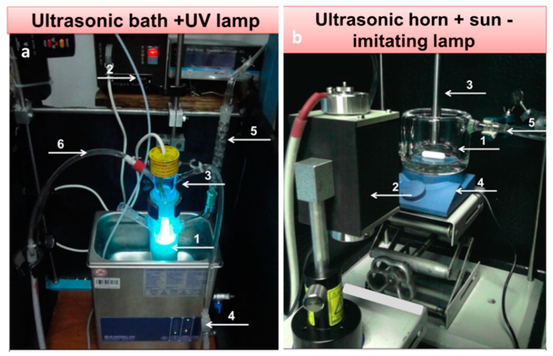 Molecules 22 00216 g012