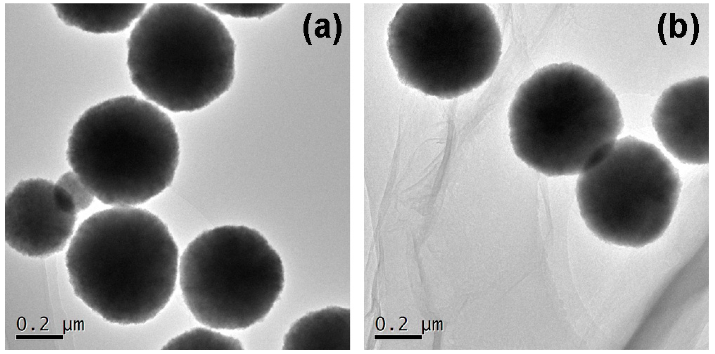 Molecules 22 00221 g001