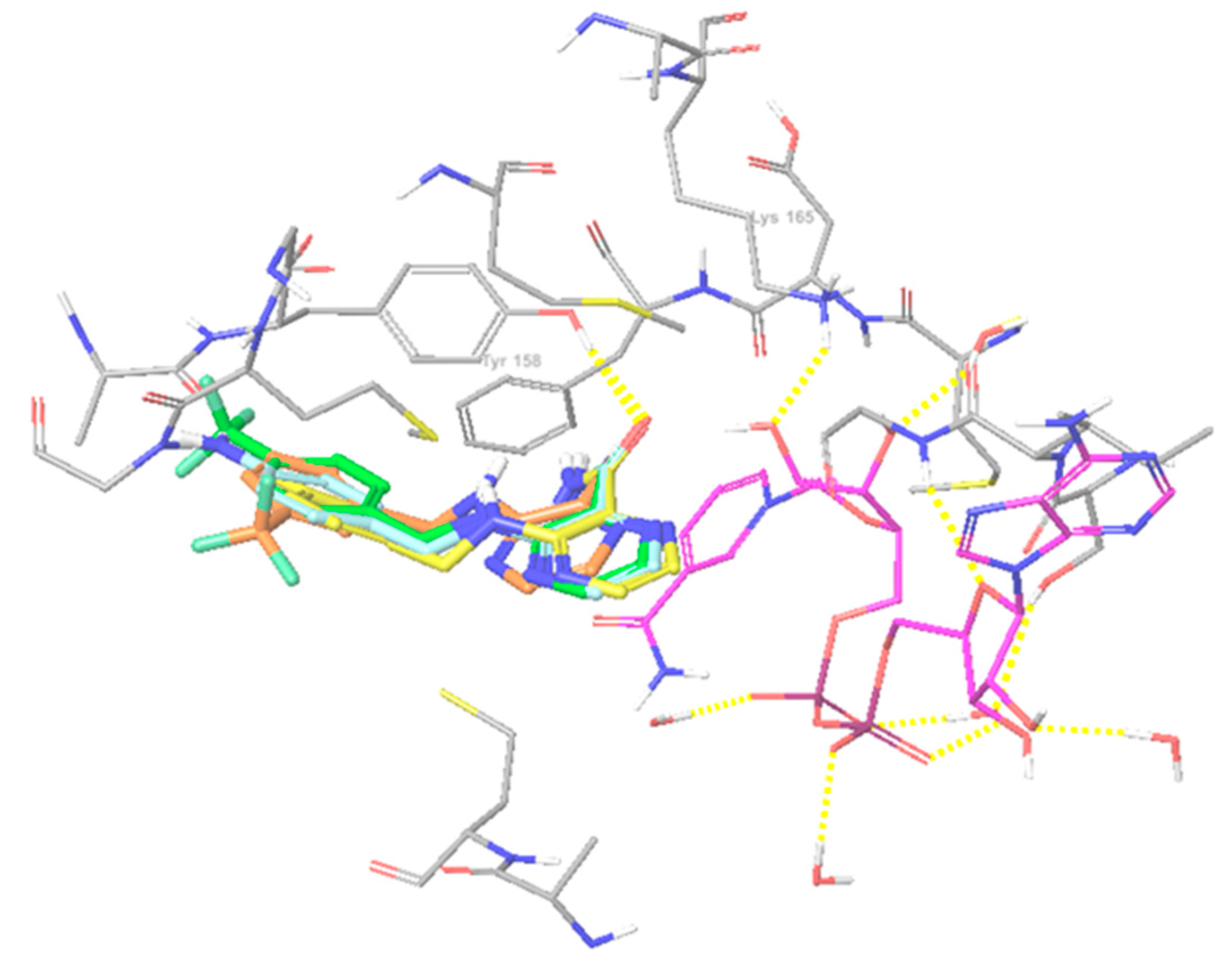 Molecules 22 00223 g006