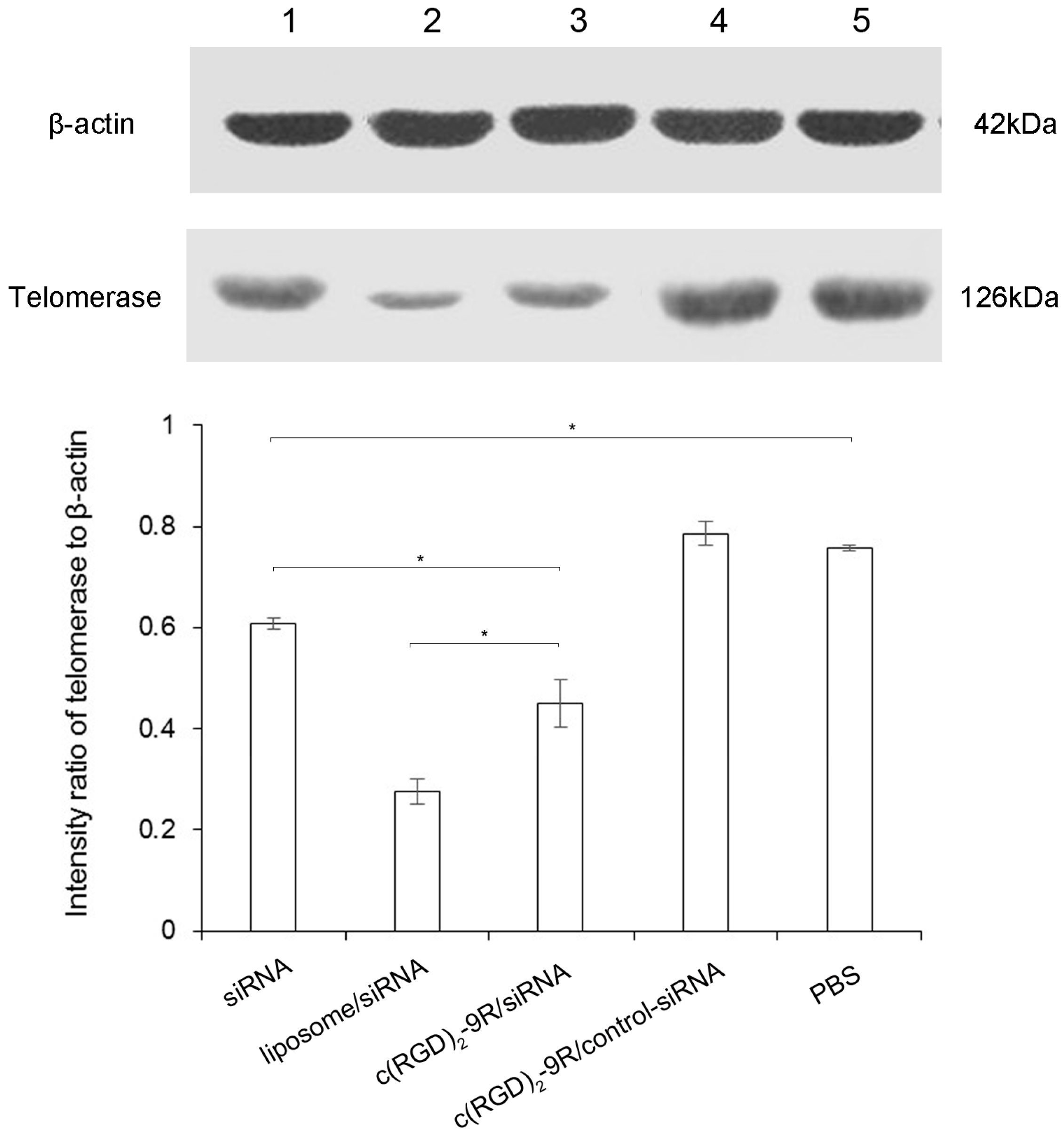 Molecules 22 00231 g006