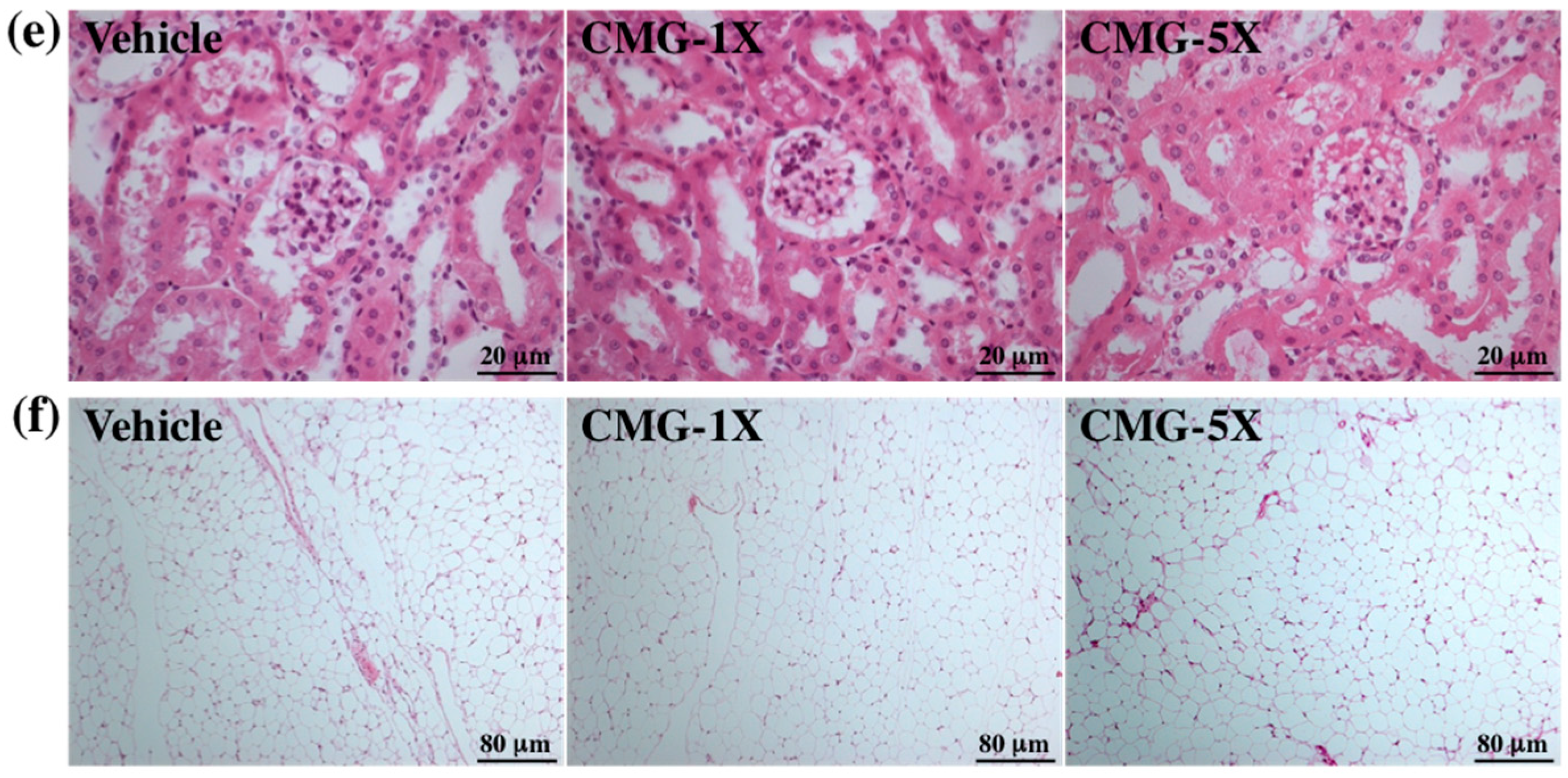 Molecules 22 00237 g006b