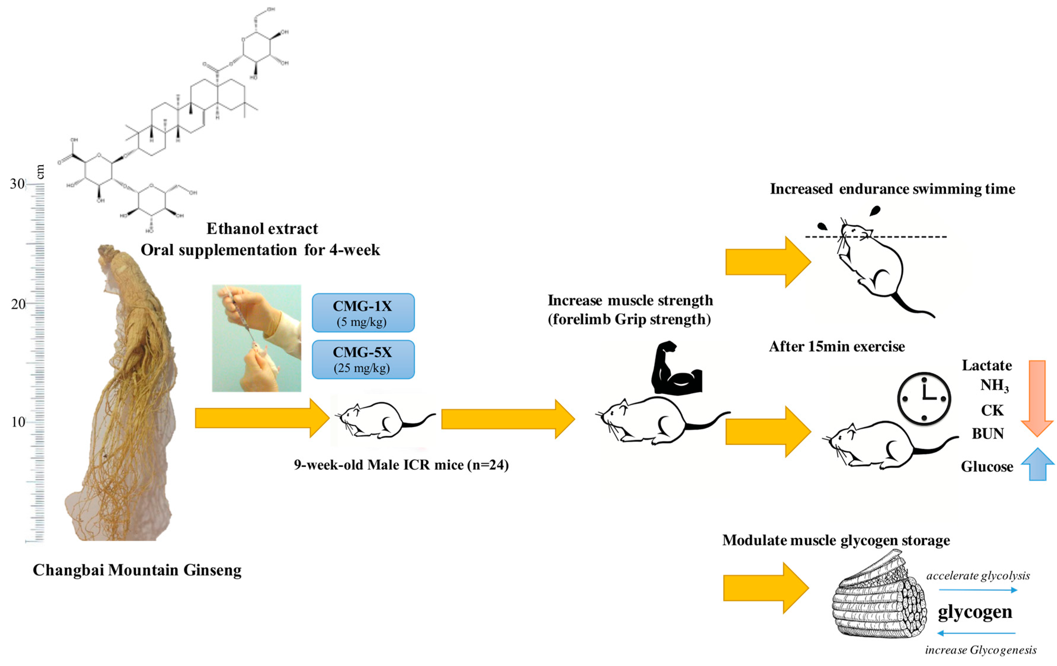Molecules 22 00237 g007