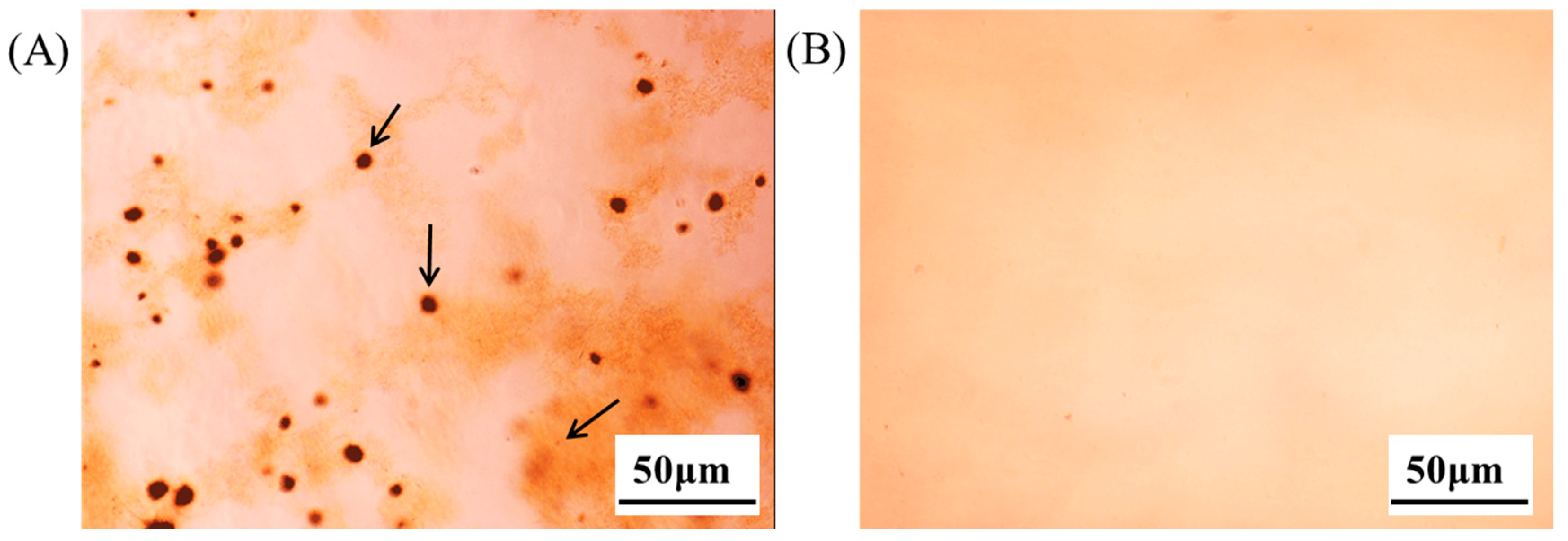 Molecules 22 00246 g006