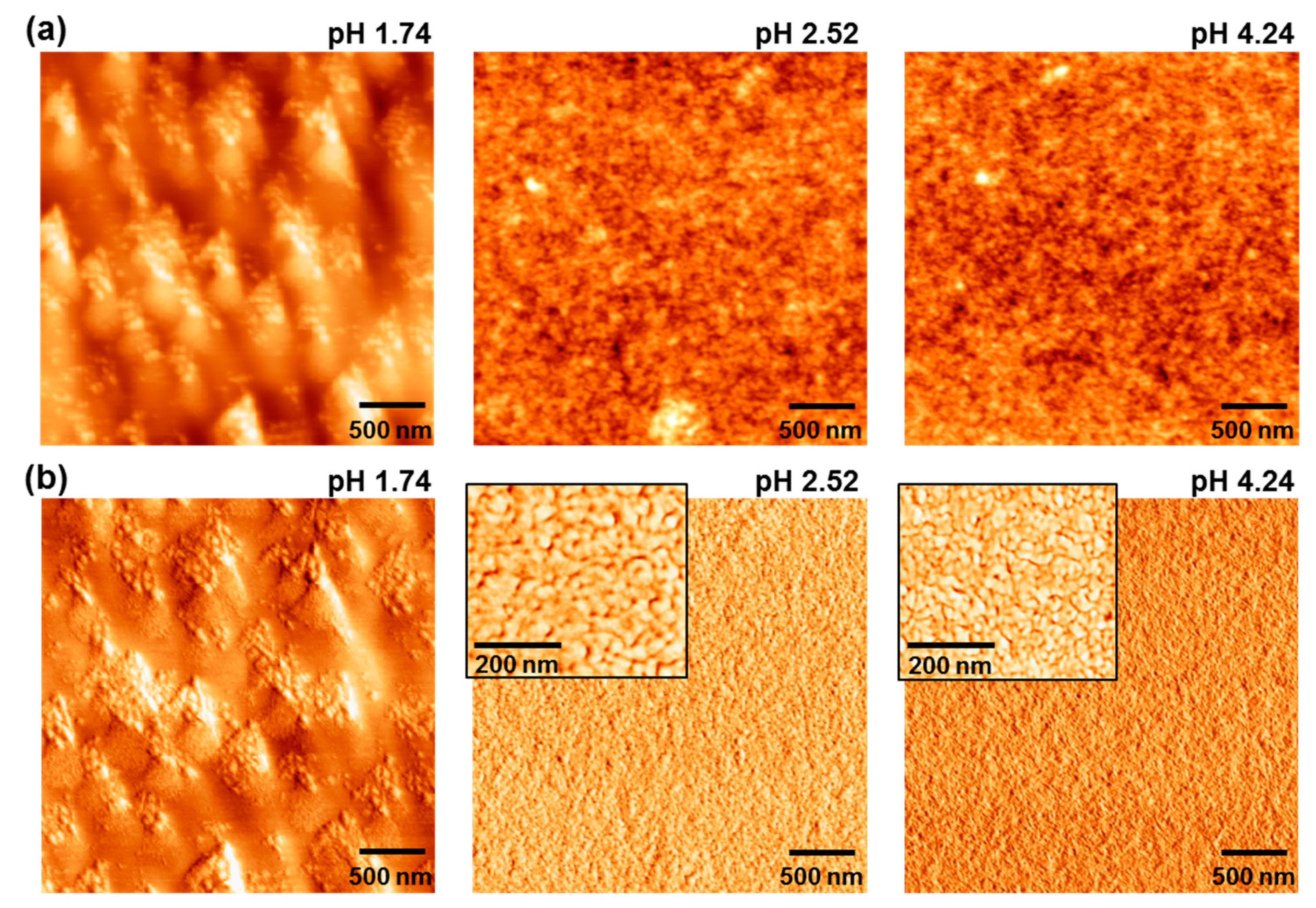 Molecules 22 00262 g004