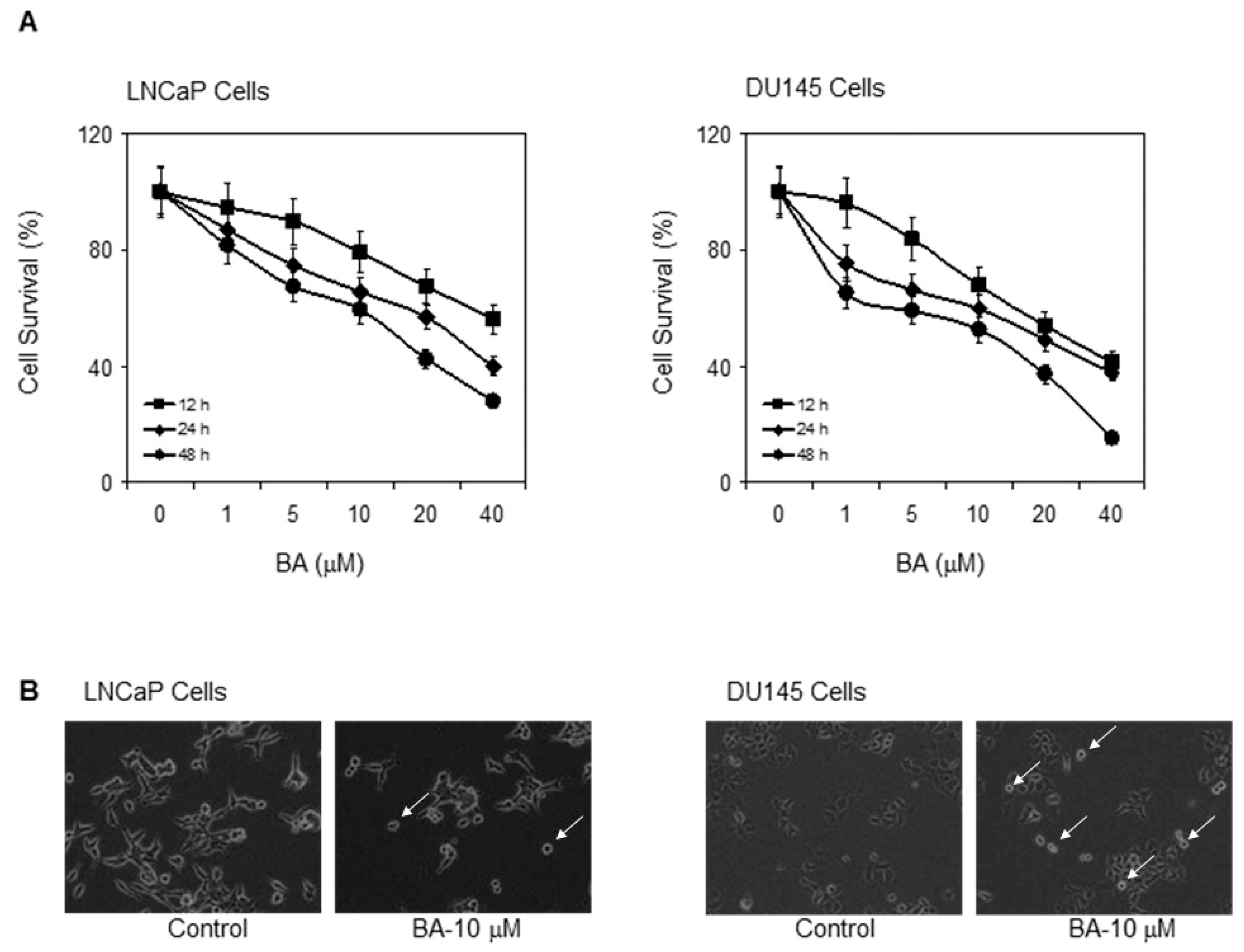 Molecules 22 00264 g001