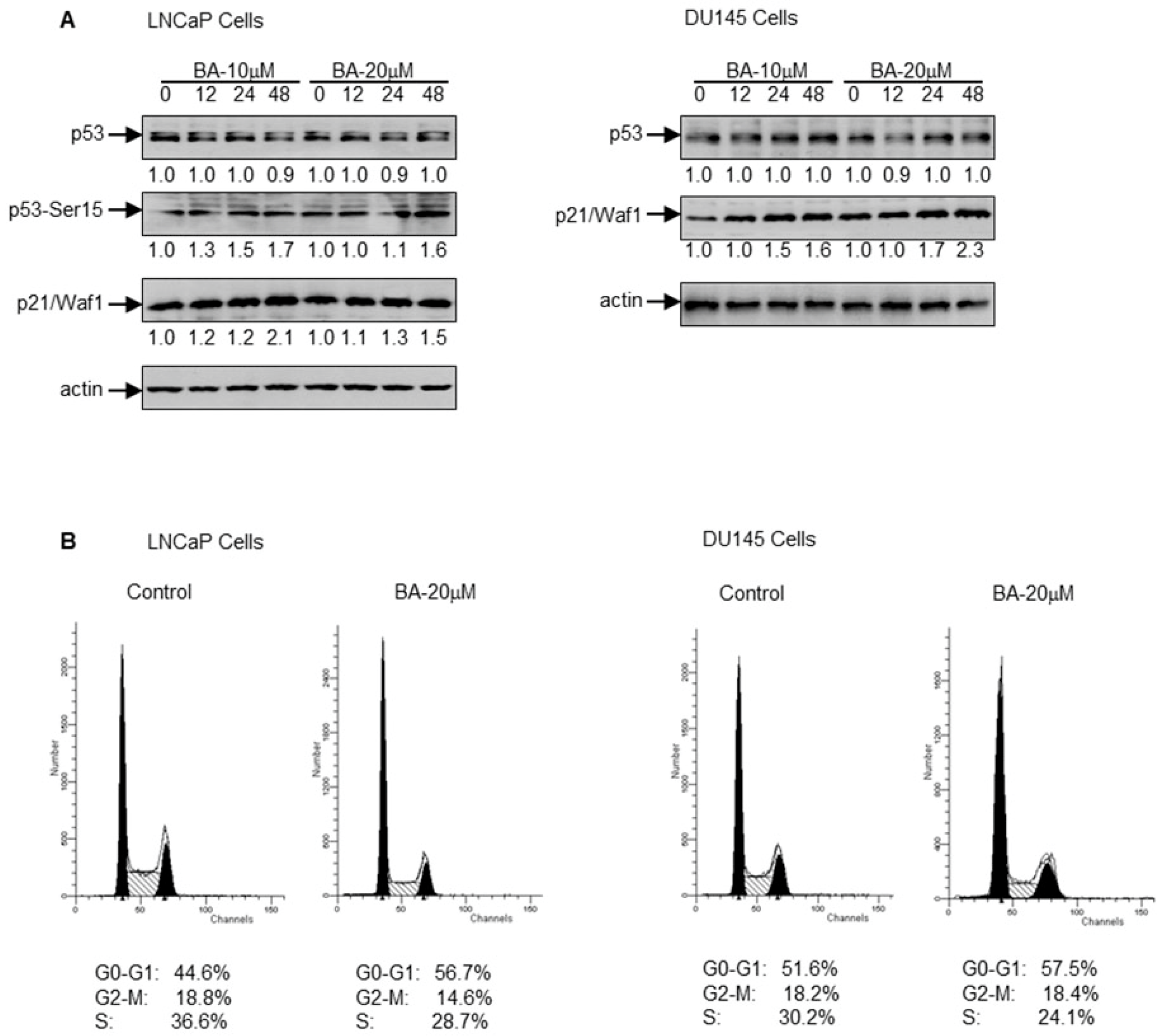 Molecules 22 00264 g003