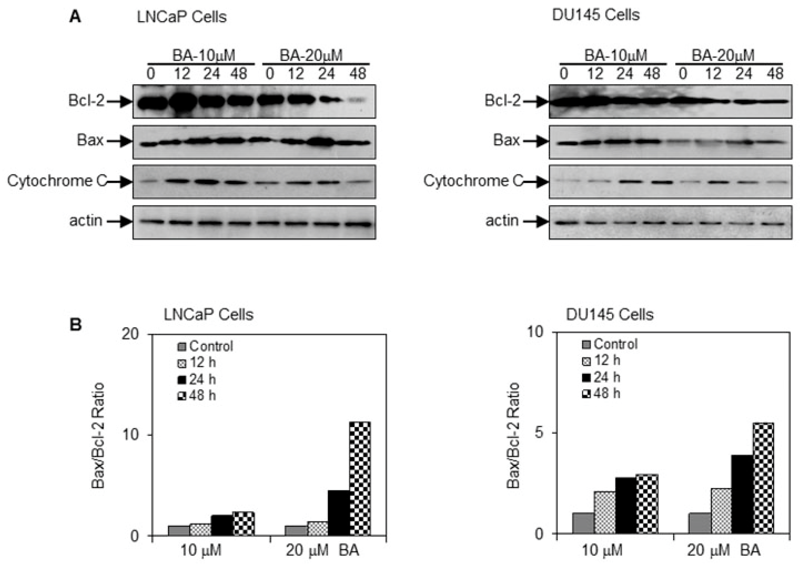 Molecules 22 00264 g004