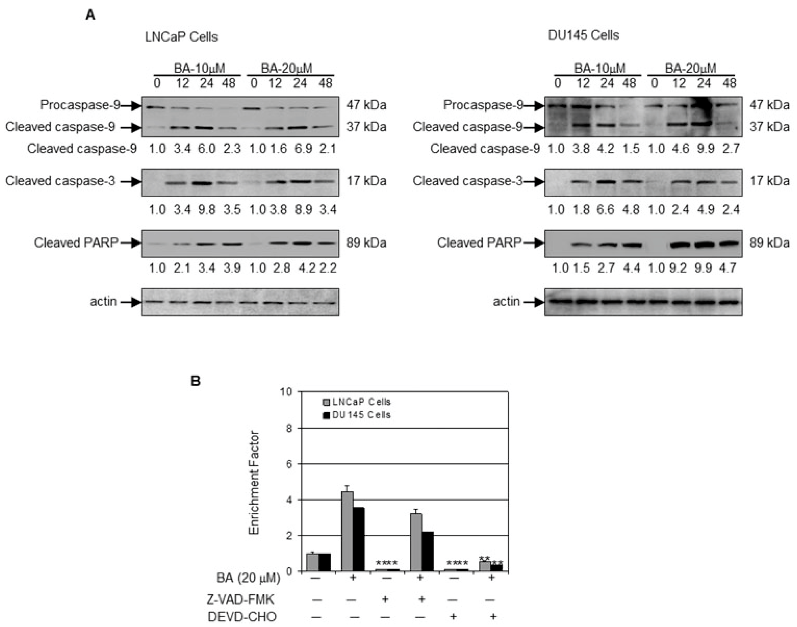 Molecules 22 00264 g005