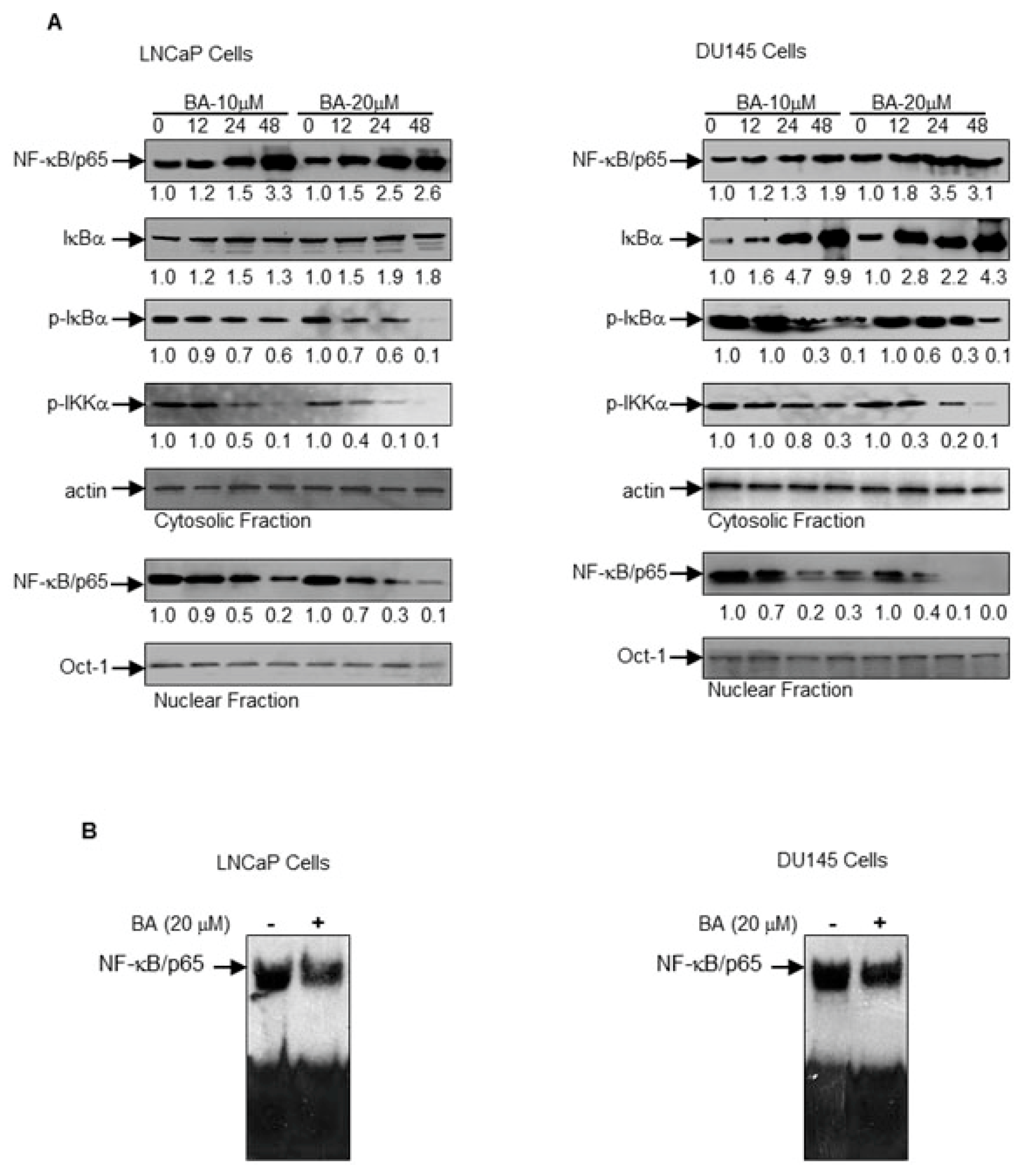Molecules 22 00264 g006