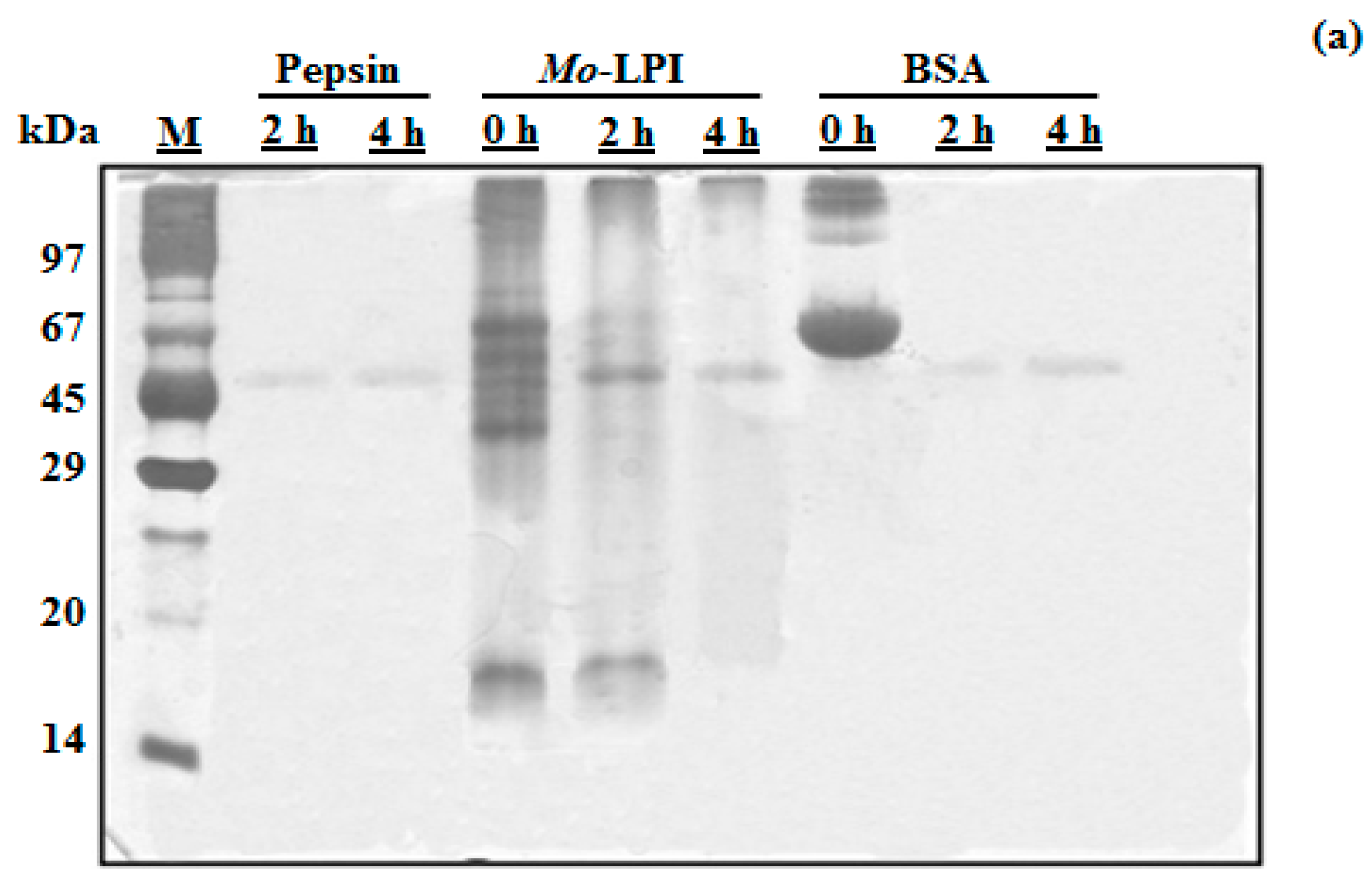 Molecules 22 00271 g001a