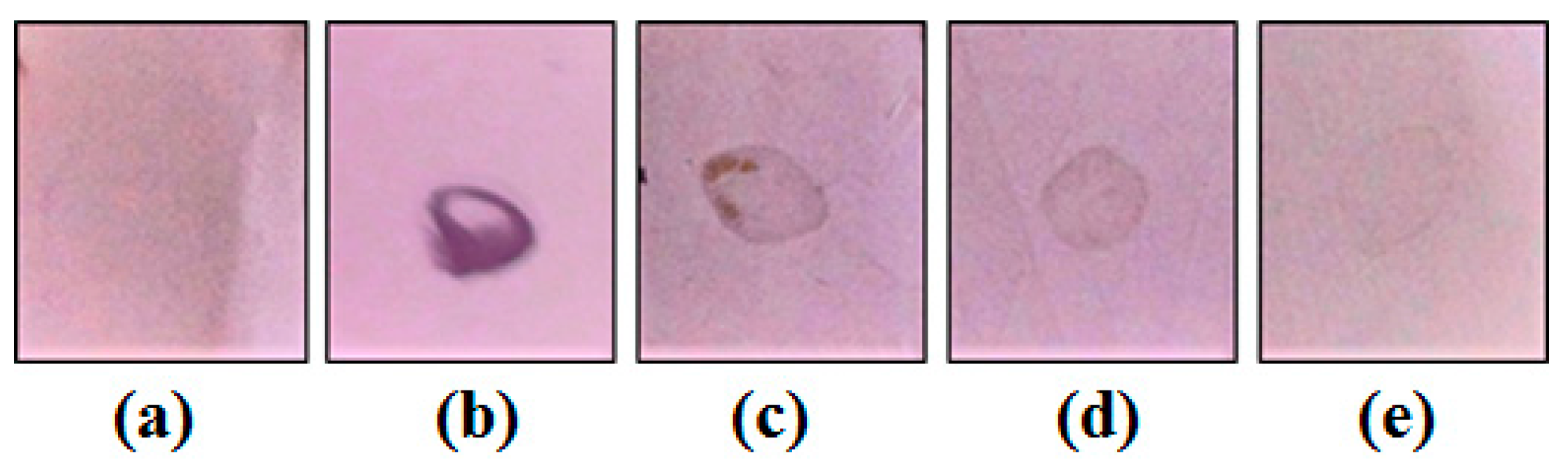 Molecules 22 00271 g002