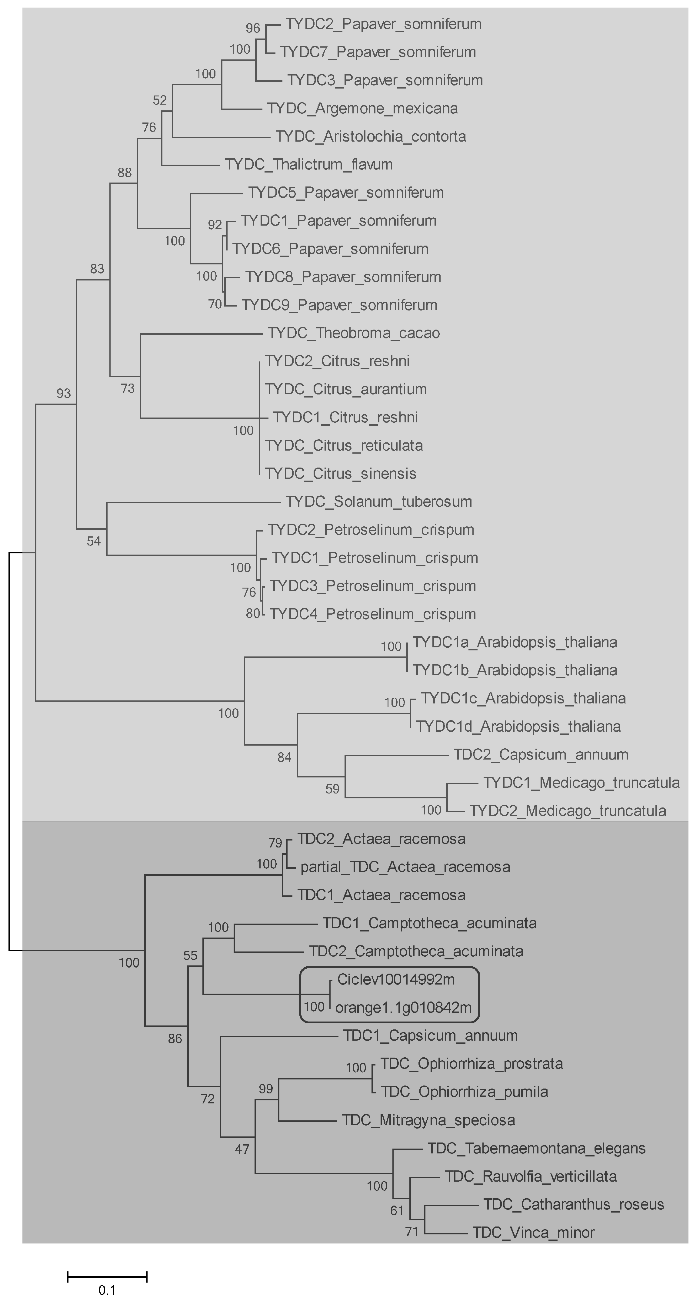 Molecules 22 00272 g002