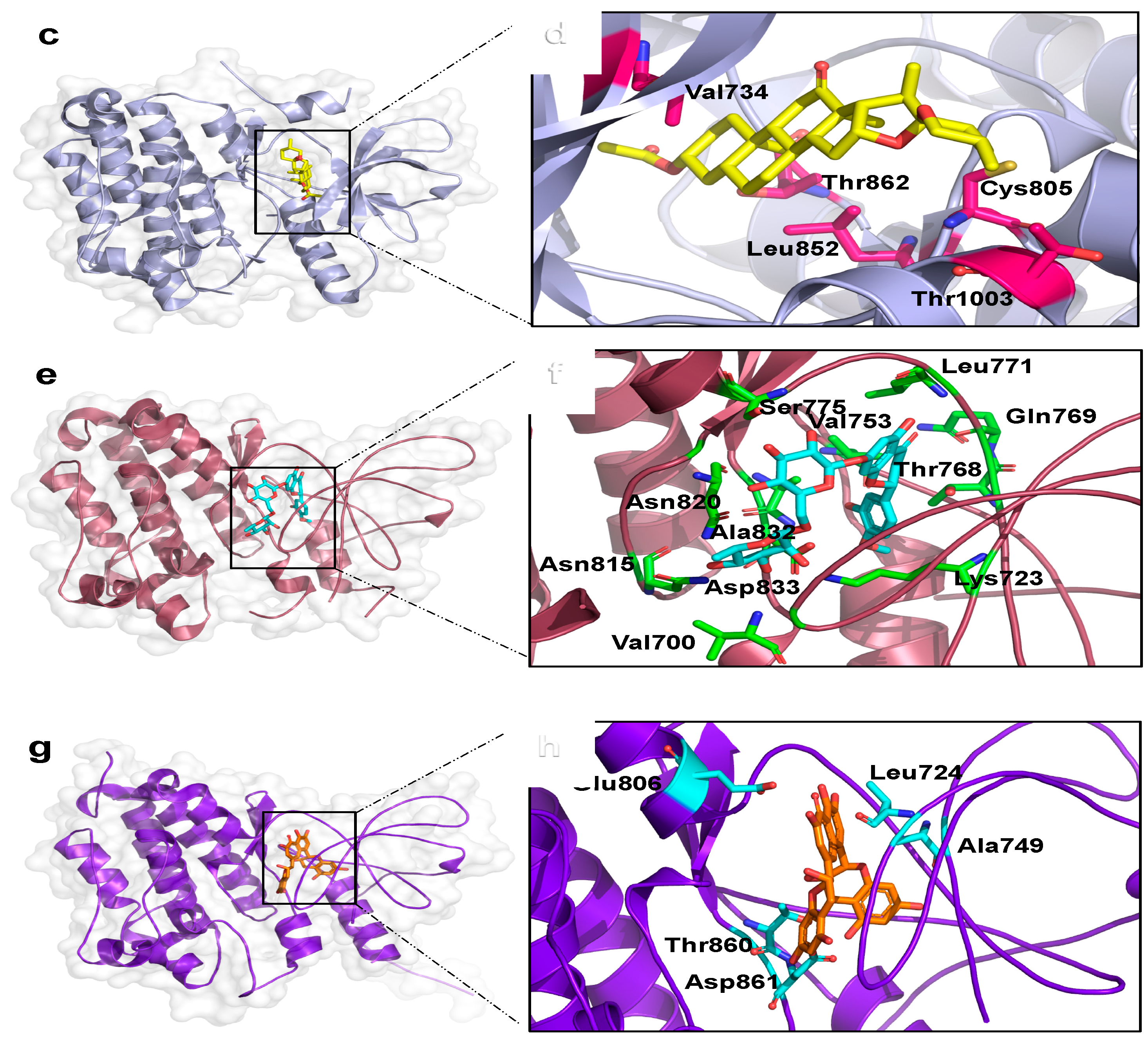 Molecules 22 00308 g004b