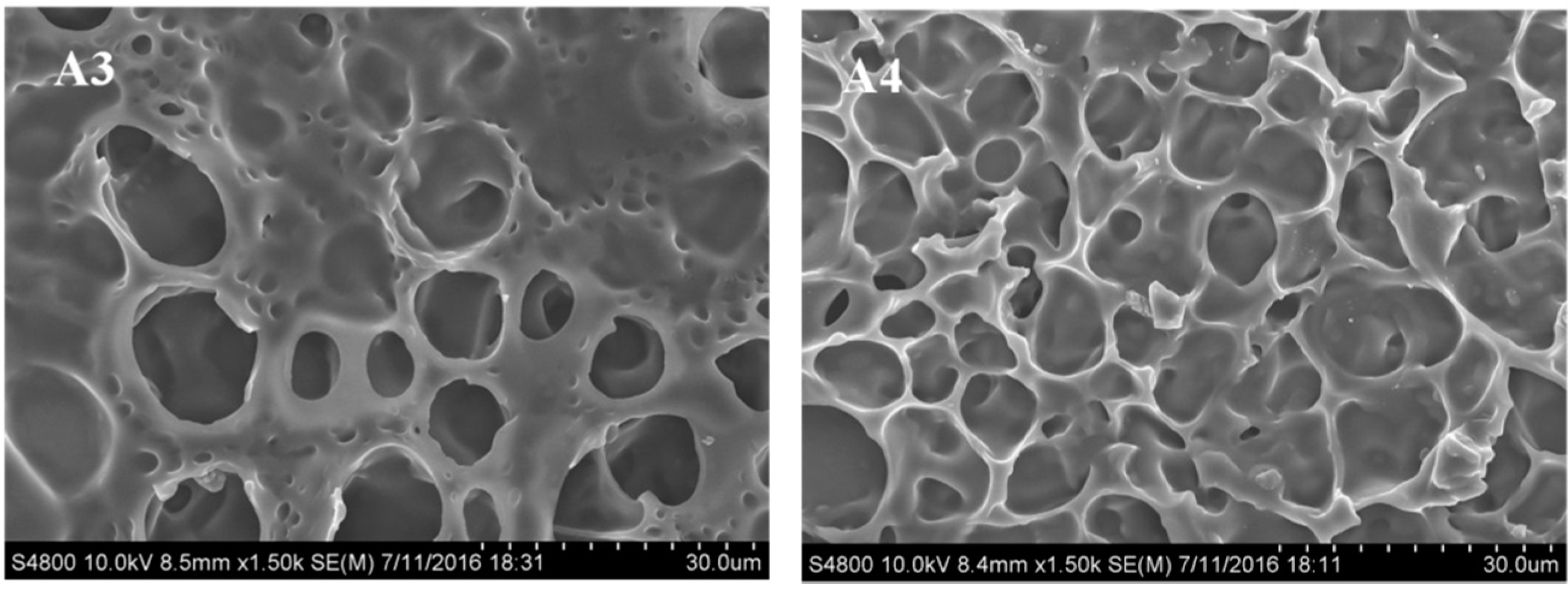 Molecules 22 00317 g001b
