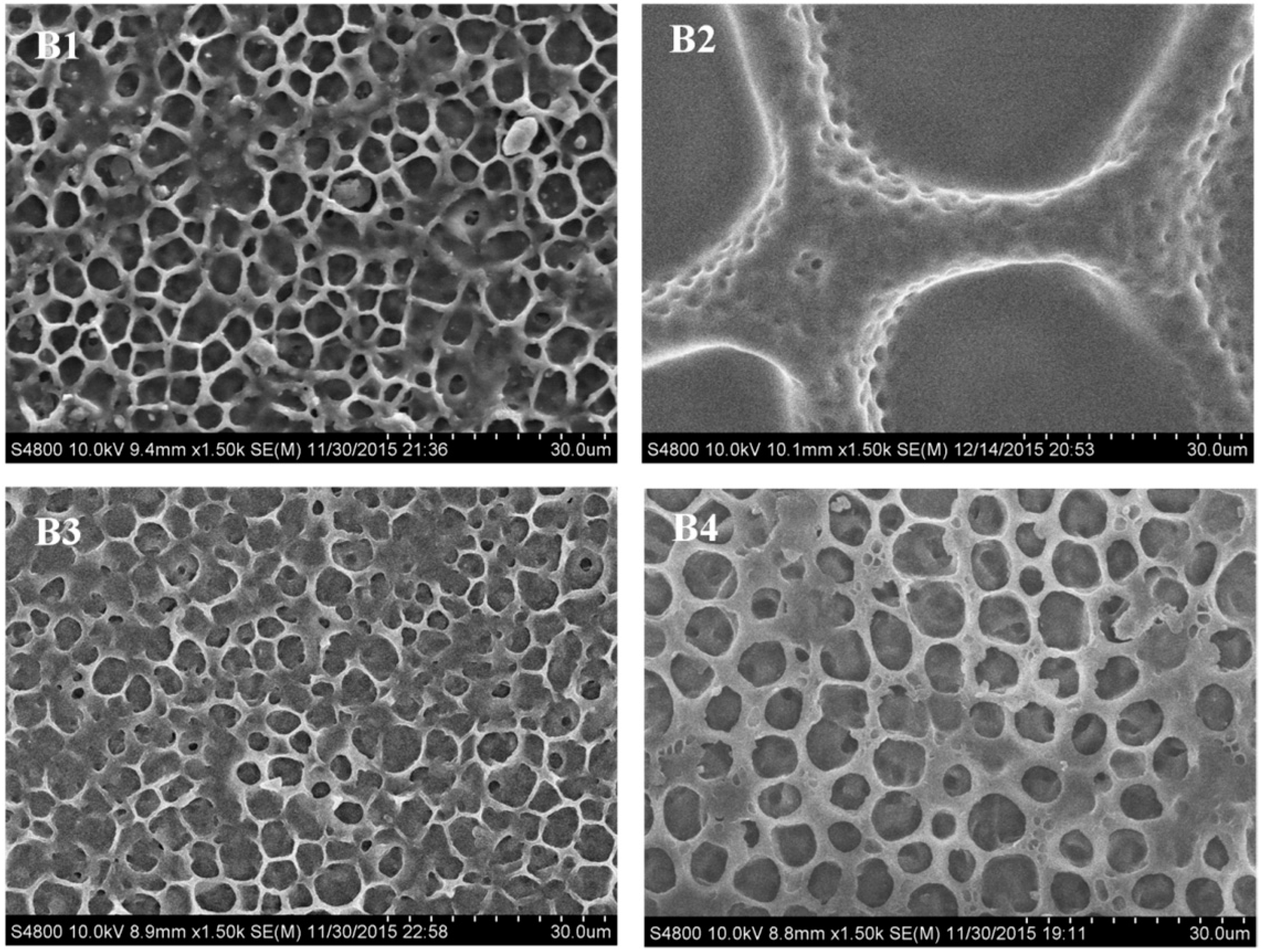 Molecules 22 00317 g004