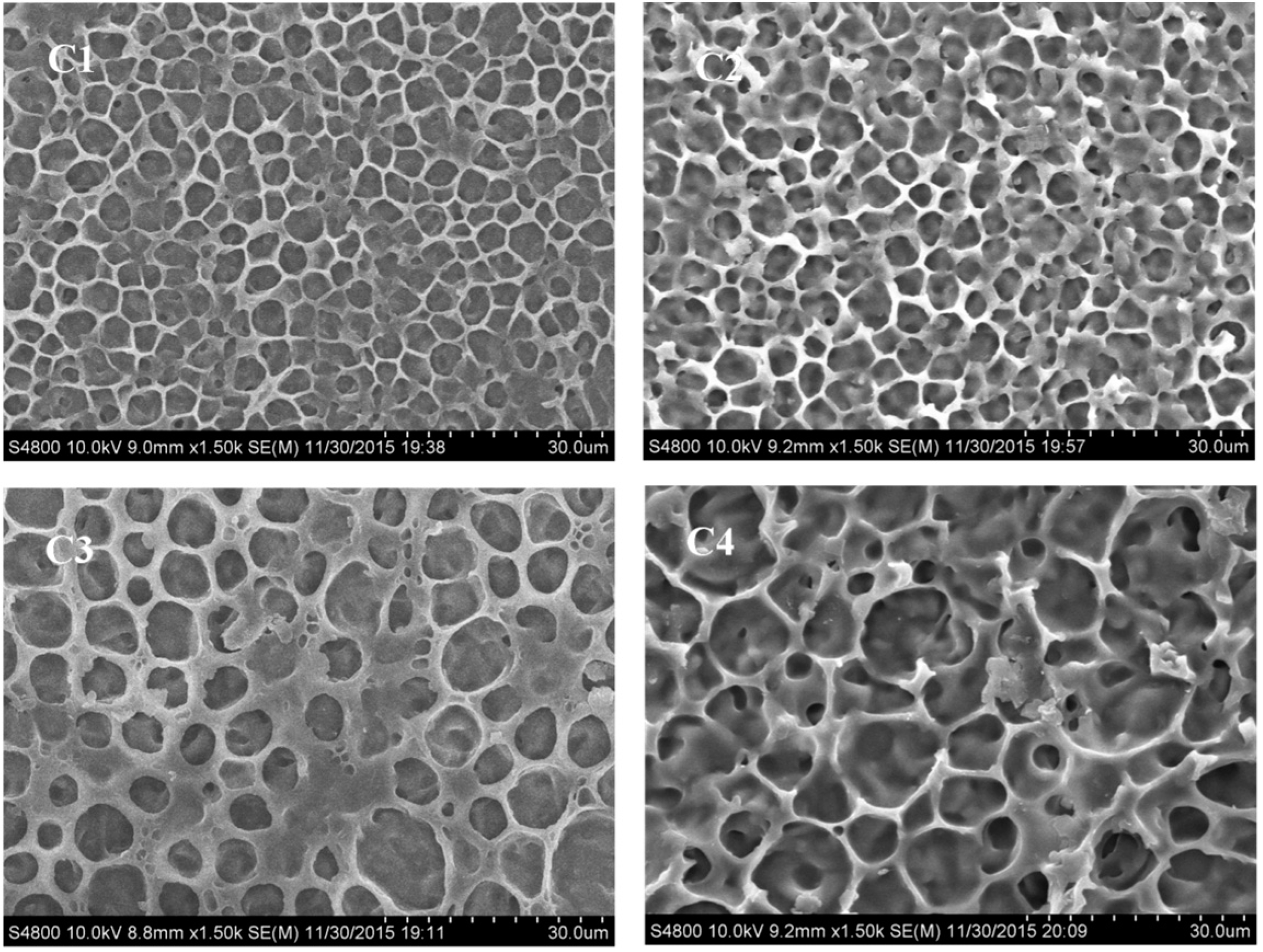 Molecules 22 00317 g007