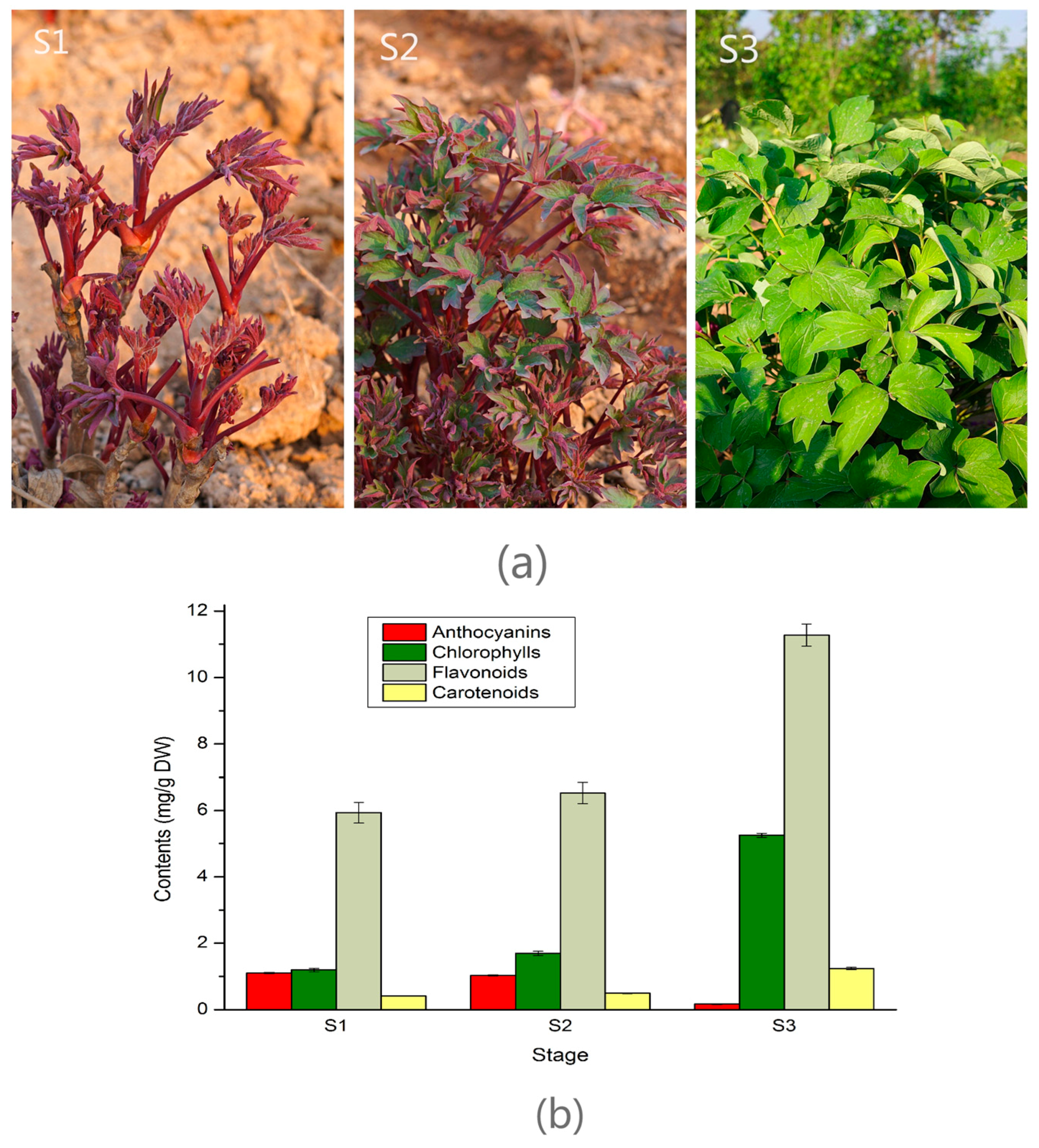 Molecules 22 00324 g001