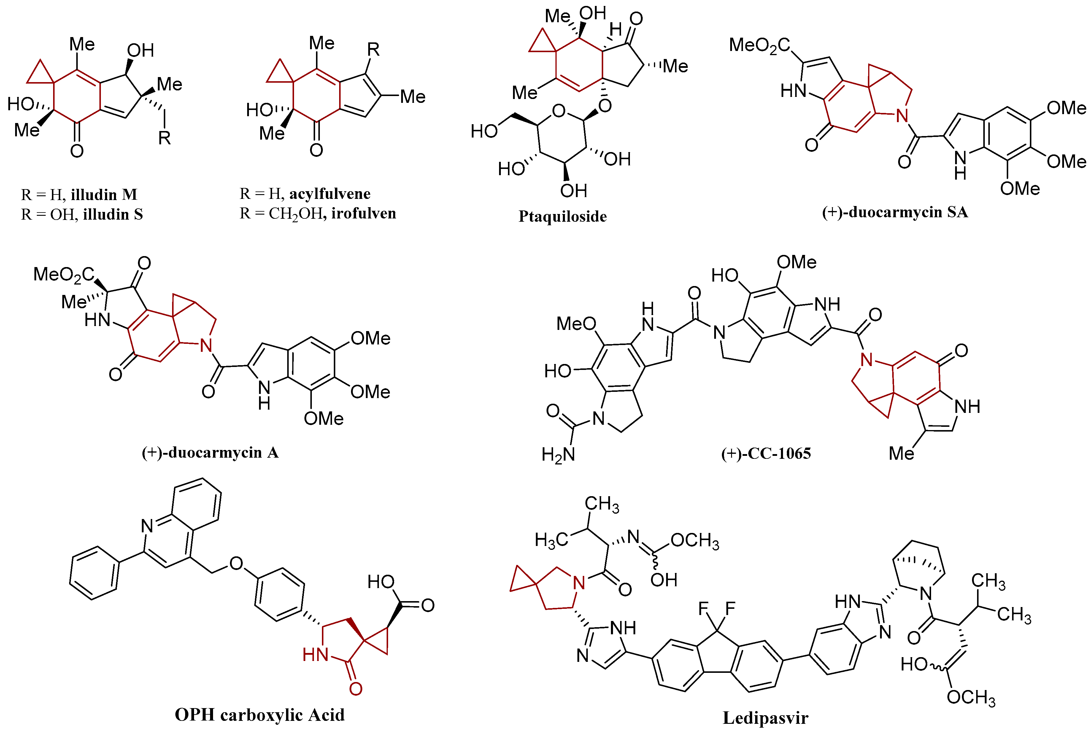Molecules 22 00328 g001