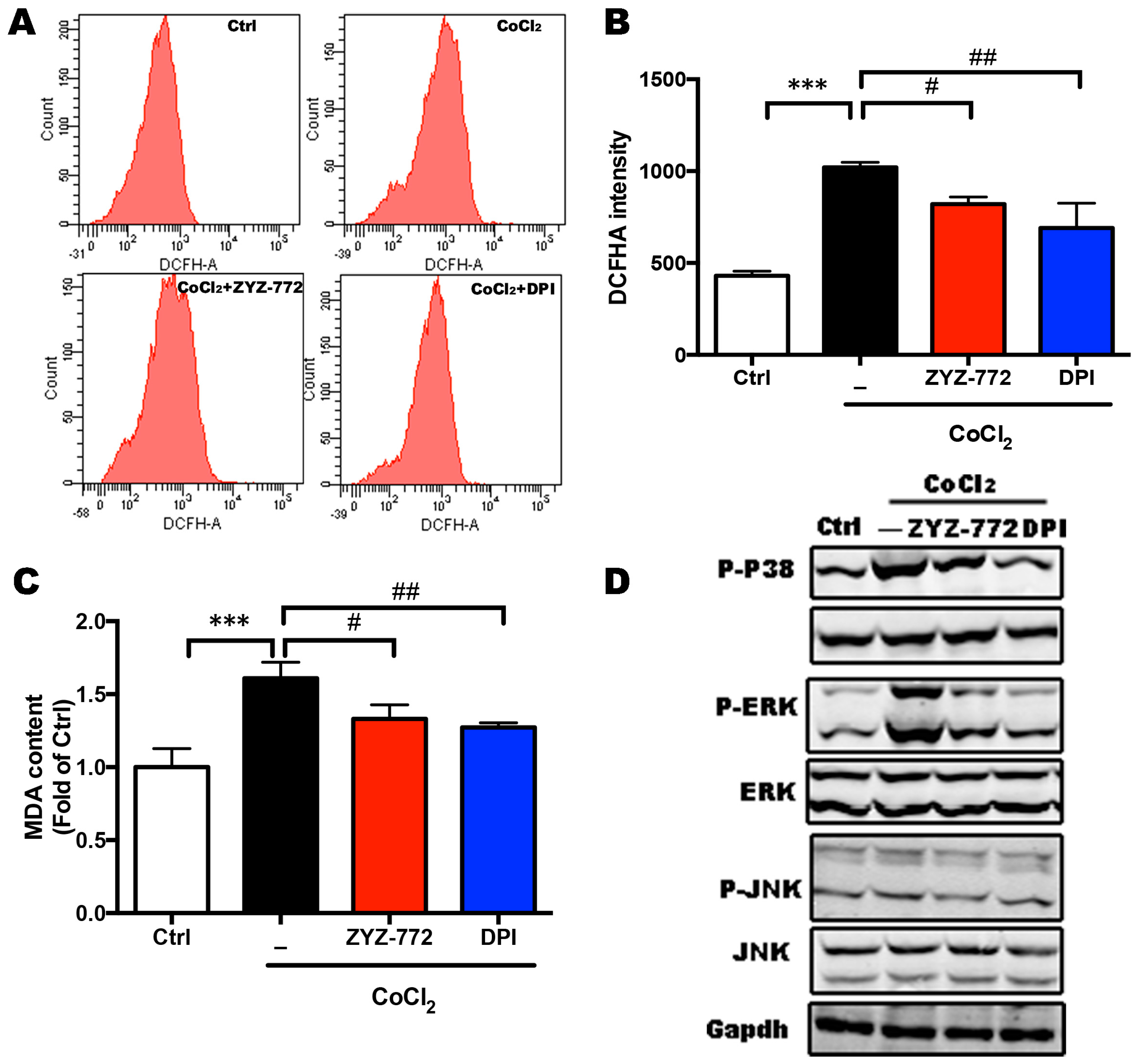 Molecules 22 00331 g003
