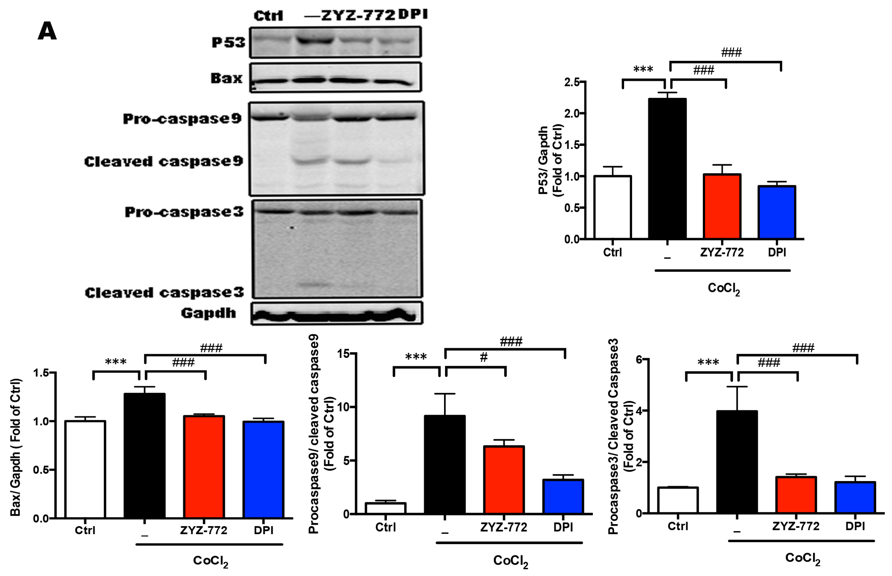 Molecules 22 00331 g004a