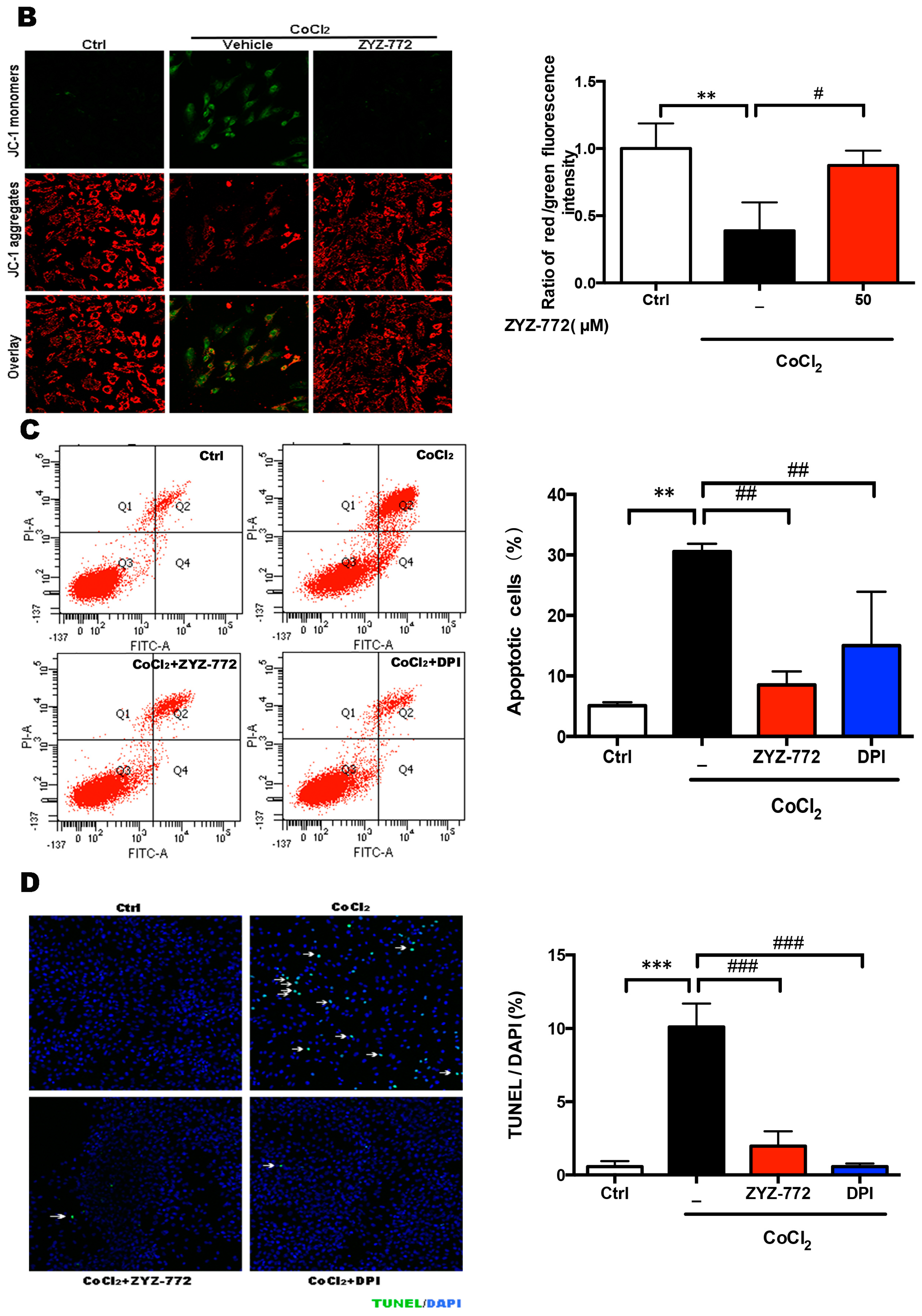 Molecules 22 00331 g004b