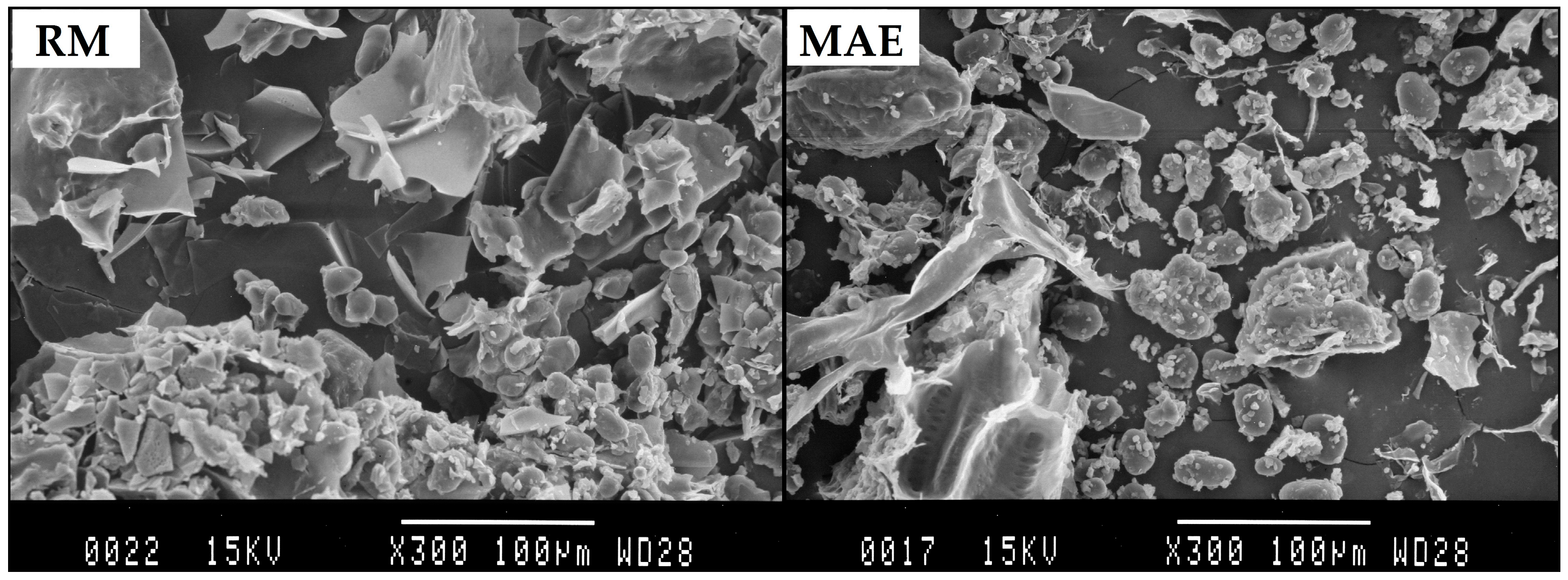 Molecules 22 00332 g003