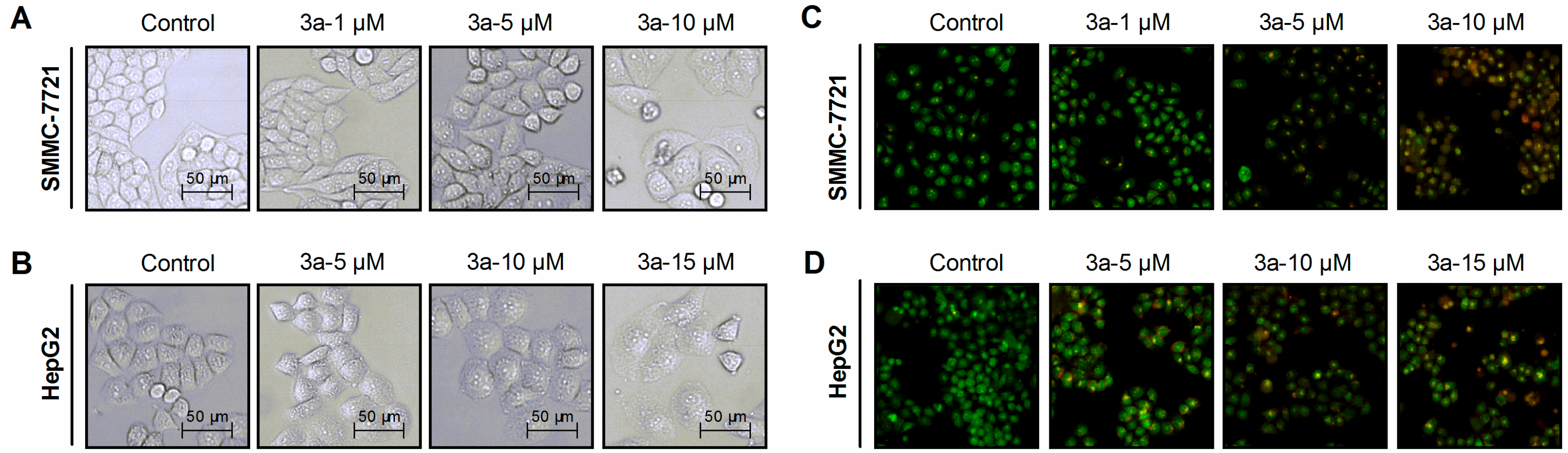 Molecules 22 00342 g003