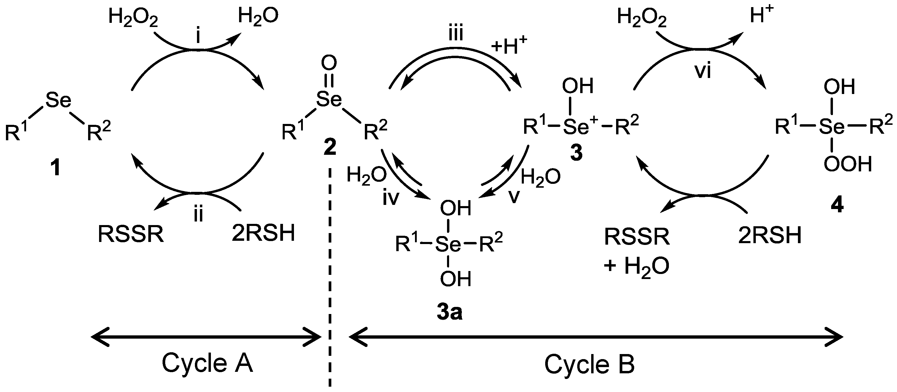 Molecules 22 00354 sch001