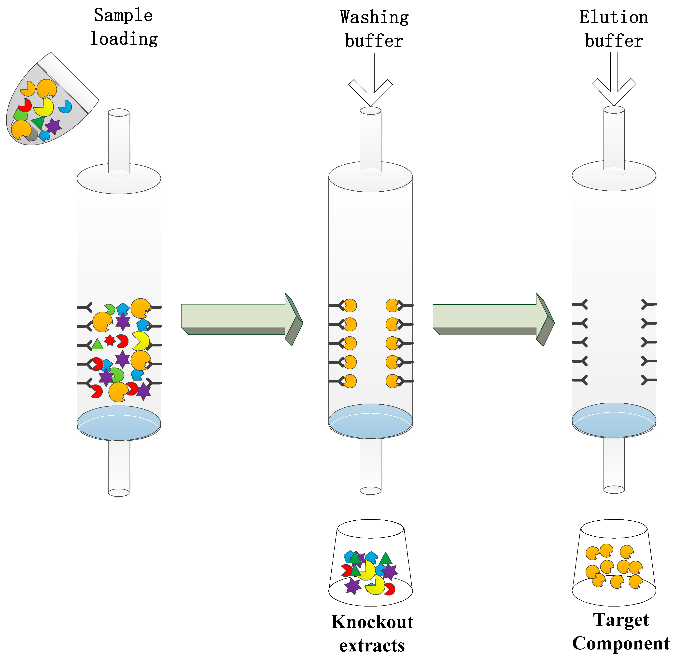Molecules 22 00355 g005