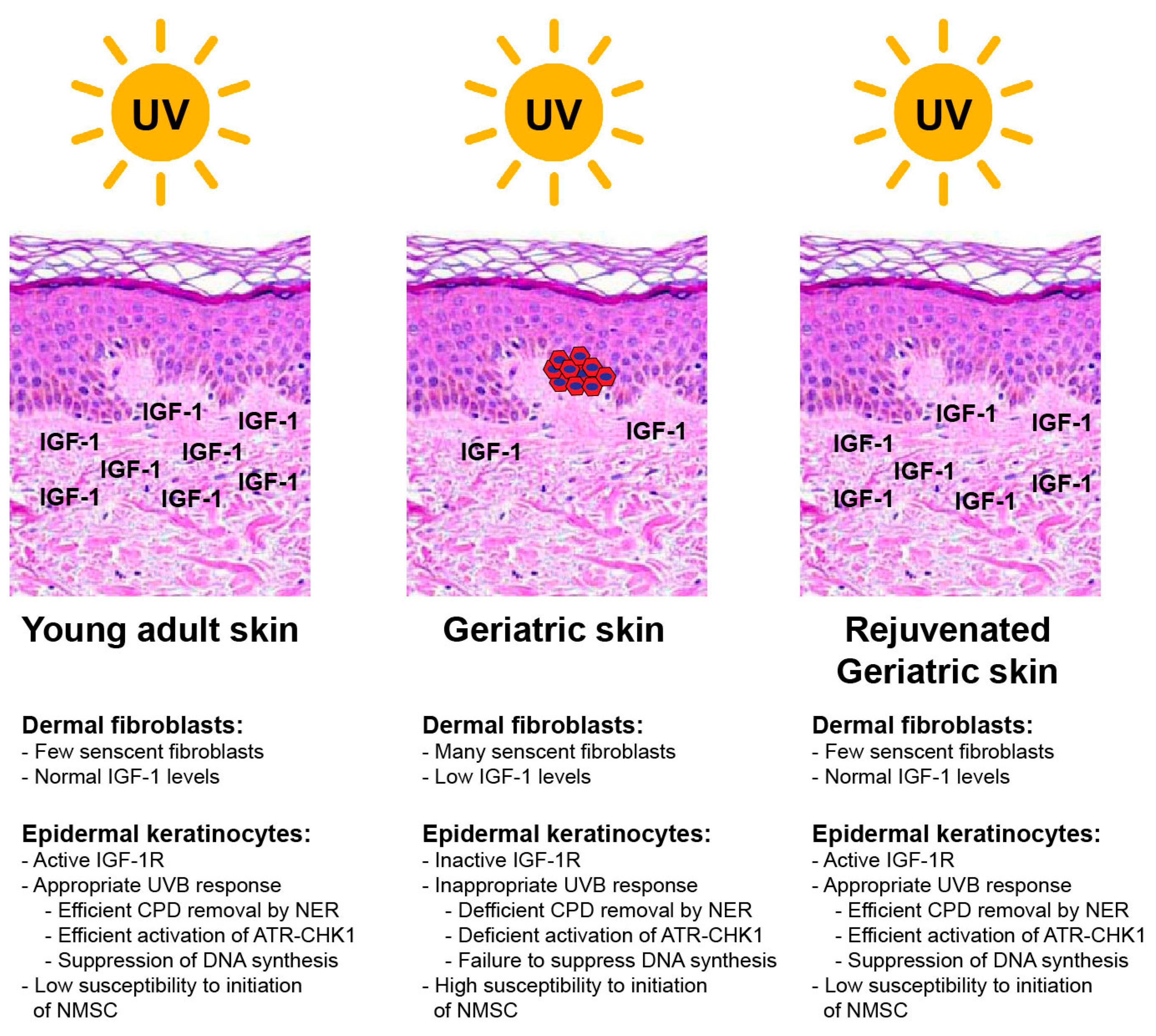 Molecules 22 00356 g003
