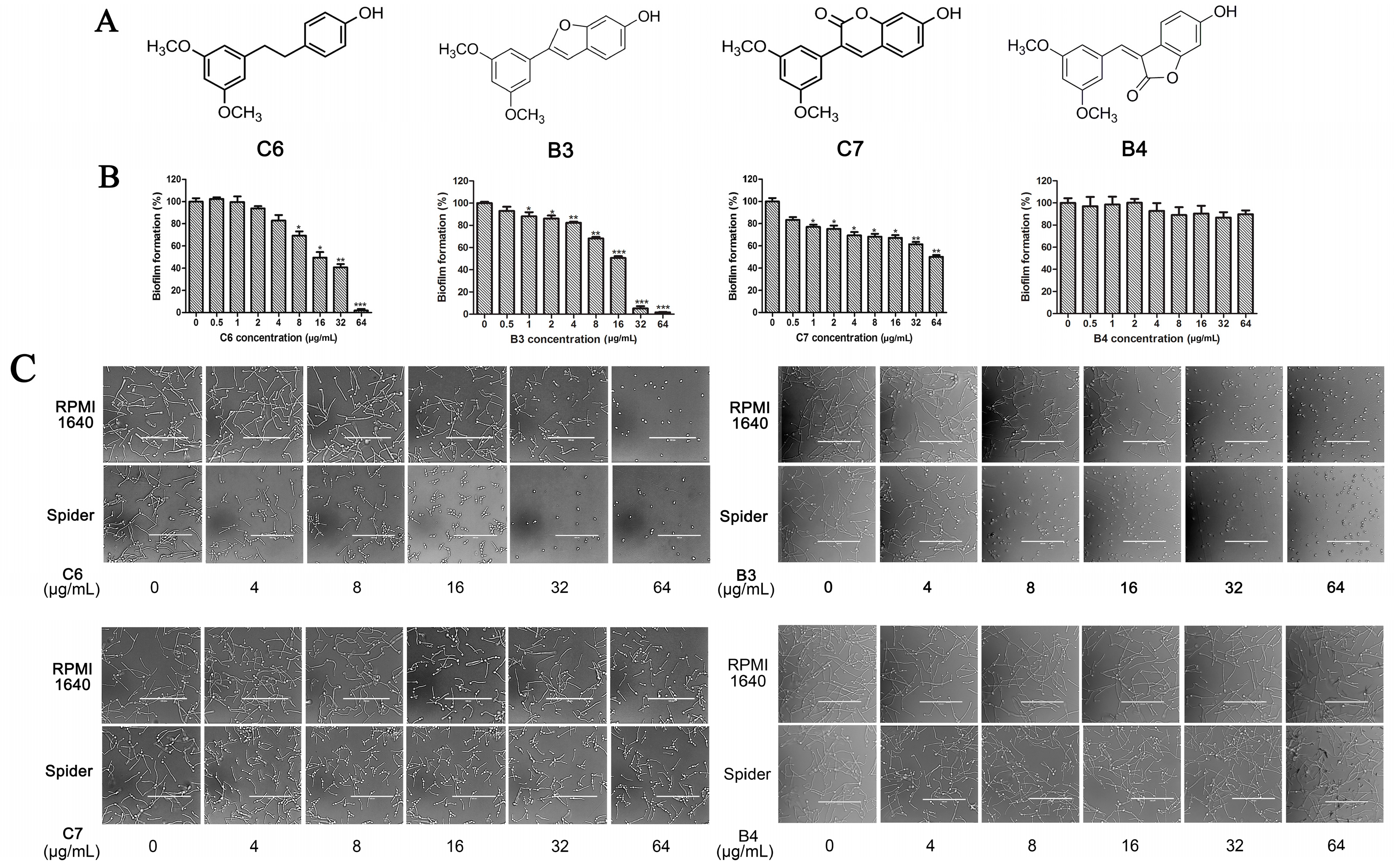 Molecules 22 00360 g004