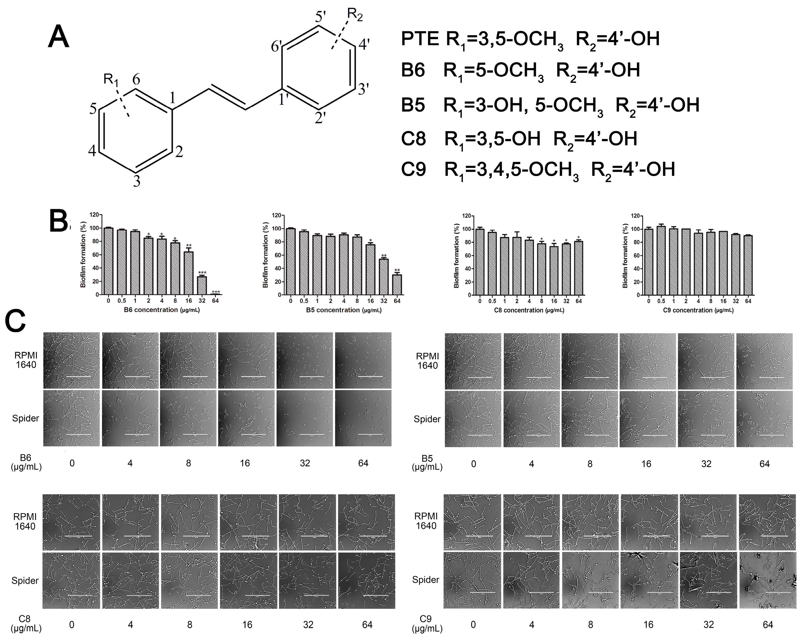 Molecules 22 00360 g005