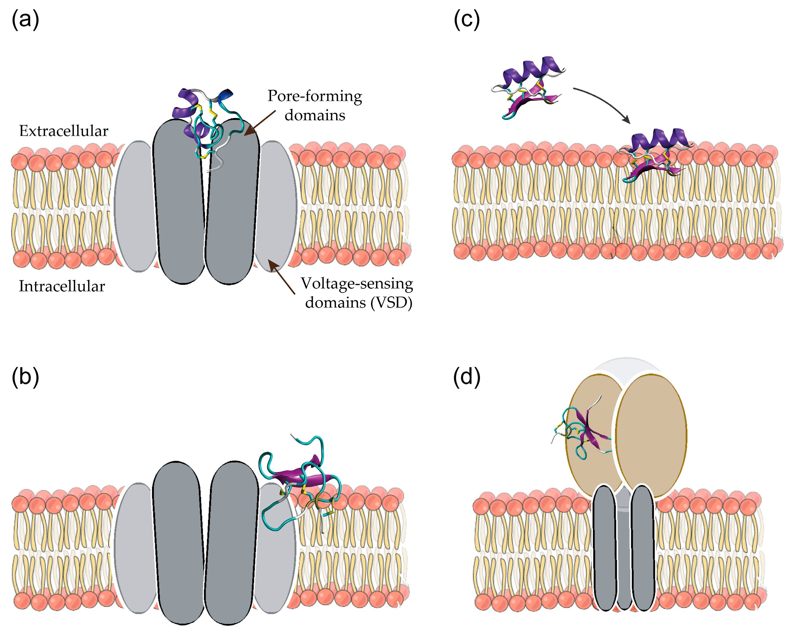 Molecules 22 00362 g002