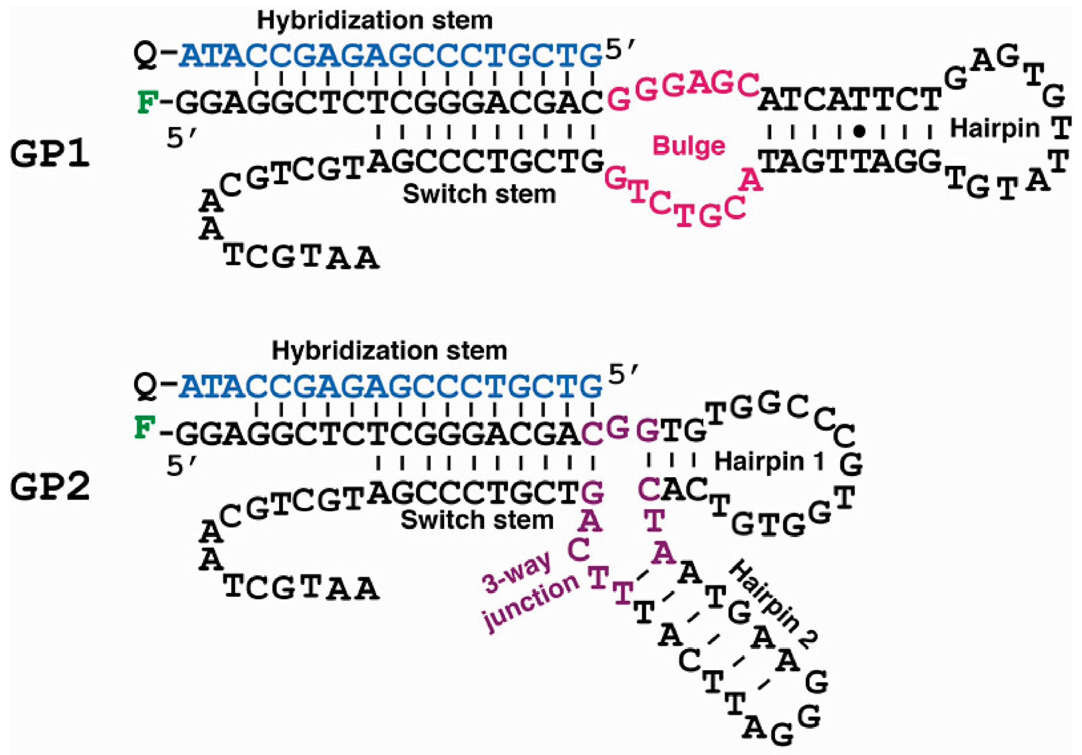 Molecules 22 00383 g004