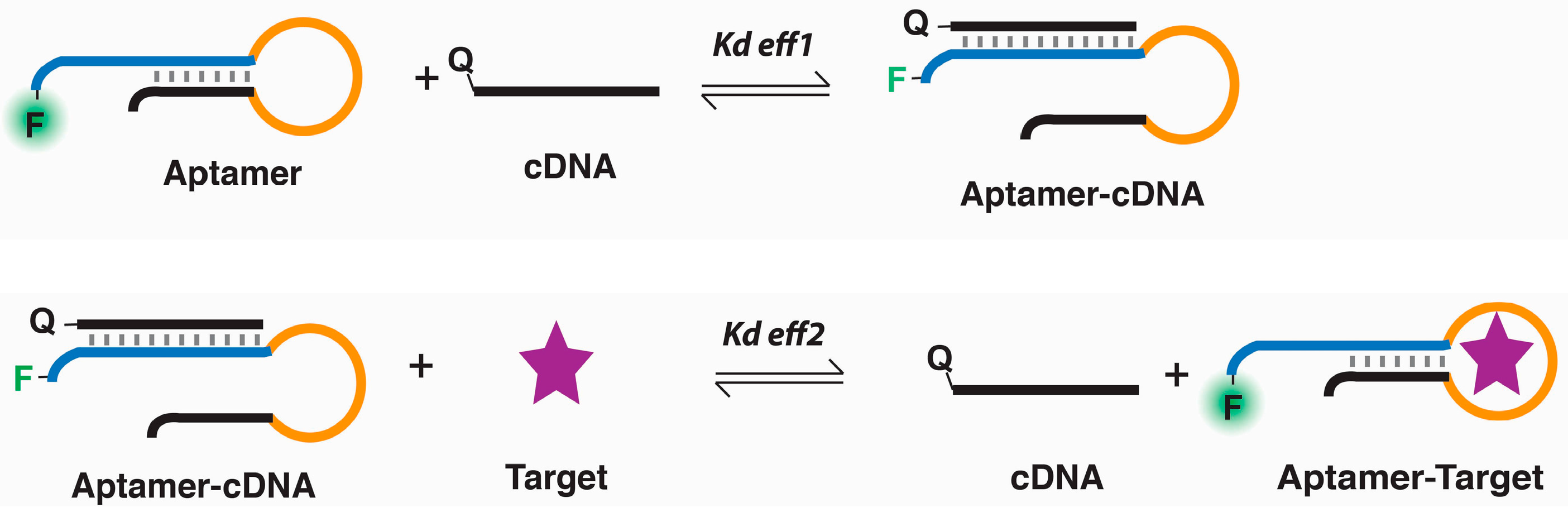 Molecules 22 00383 g005