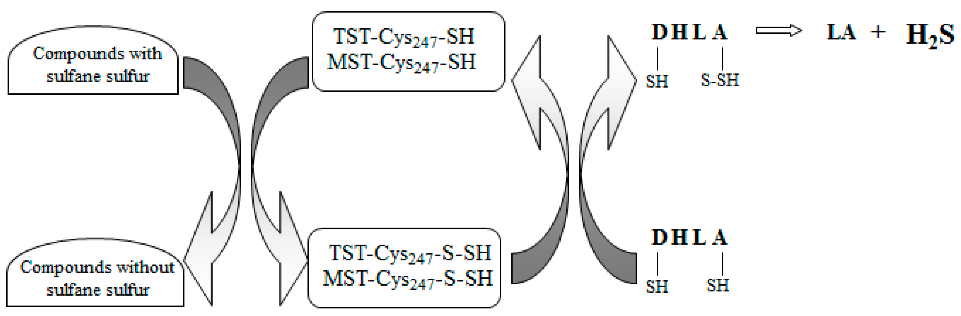 Molecules 22 00388 g006