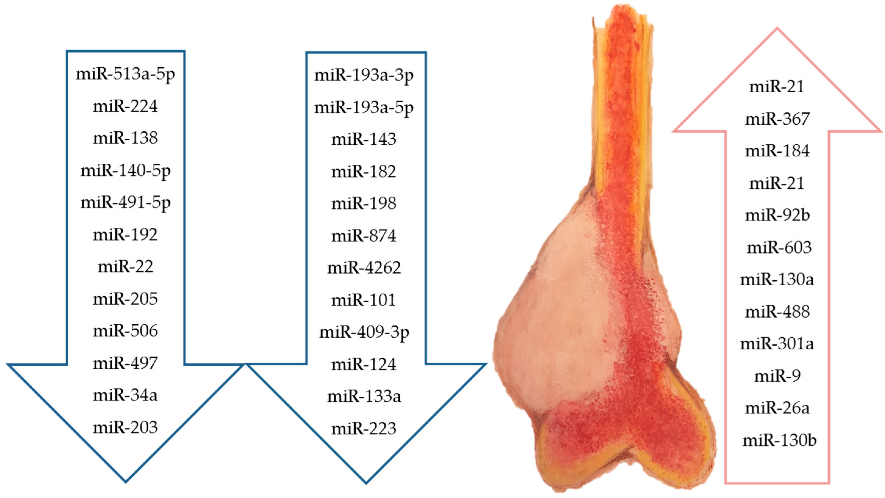 Molecules 22 00417 g002
