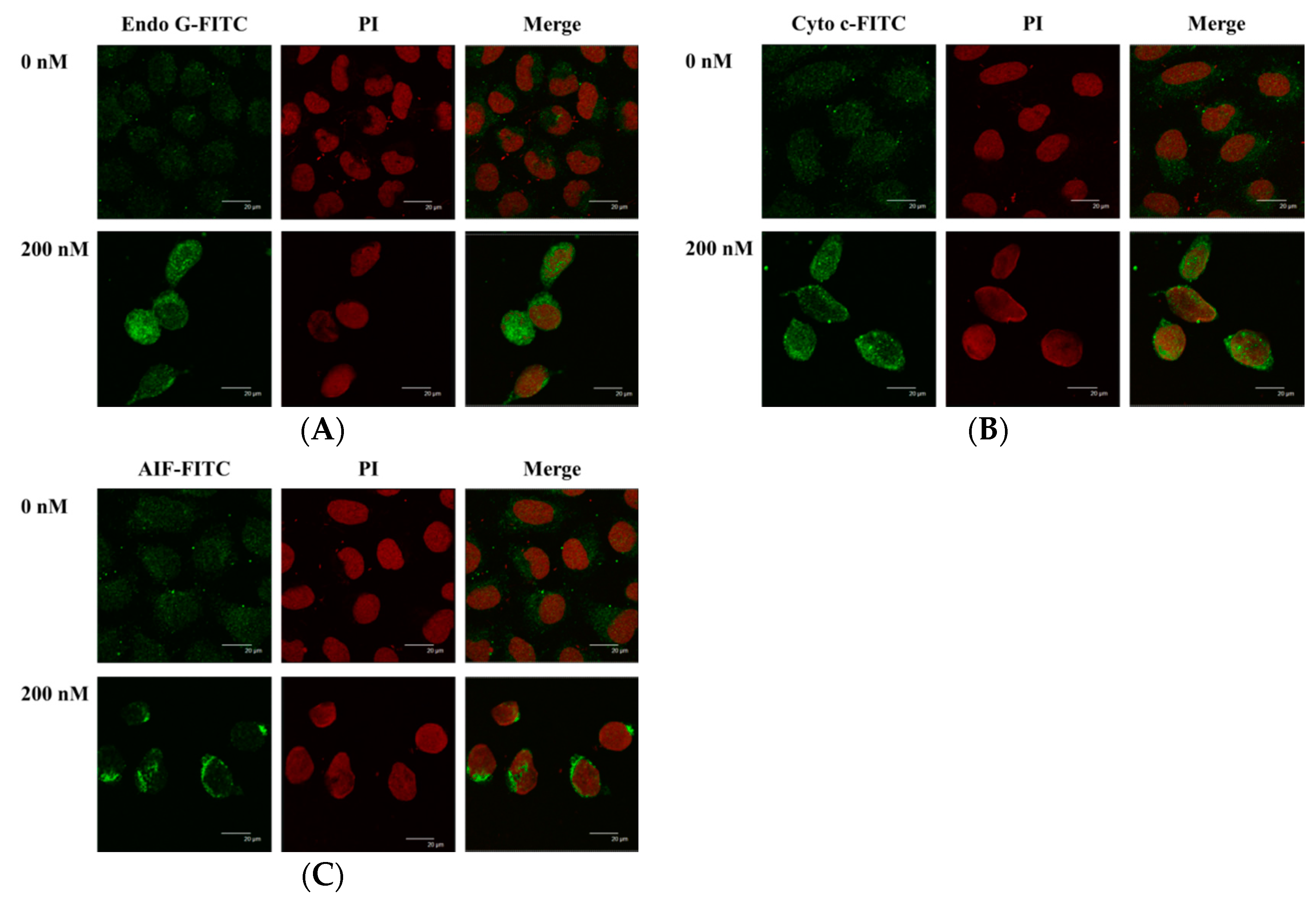 Molecules 22 00437 g007