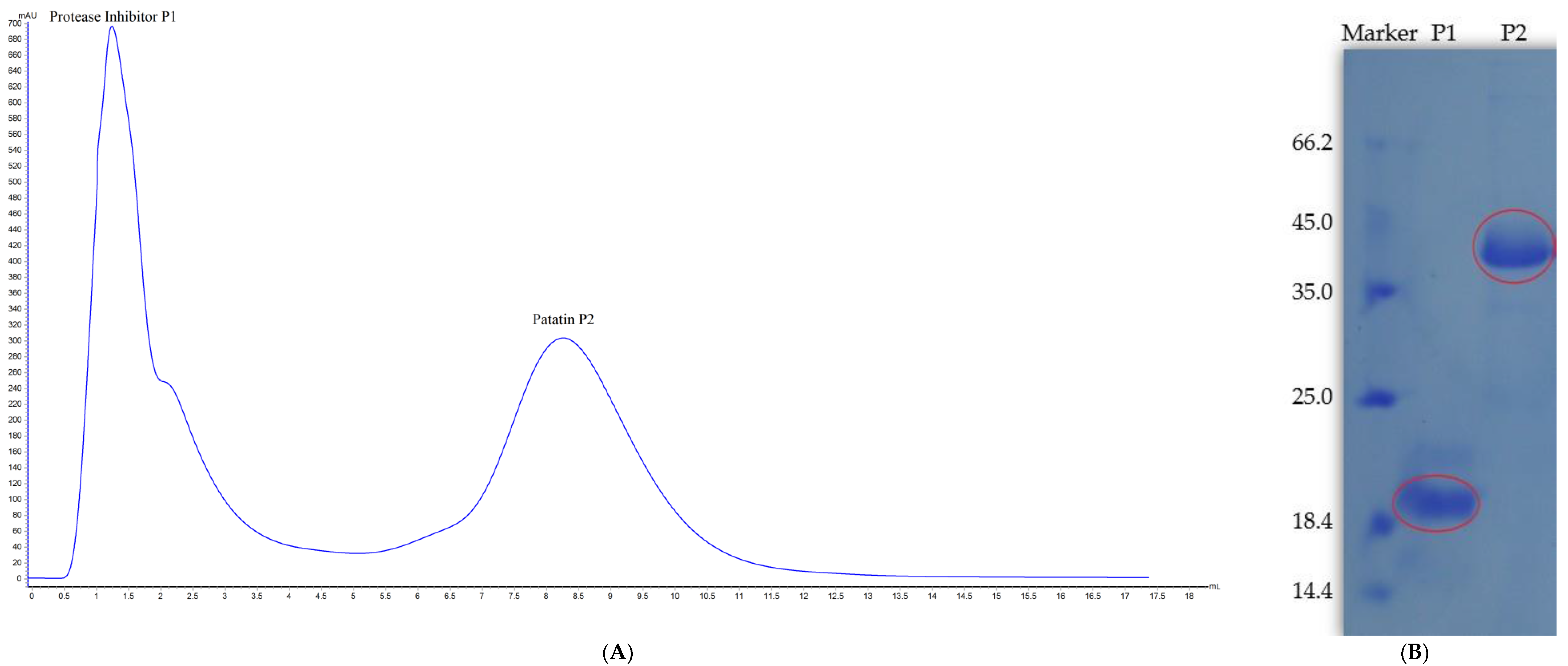 Molecules 22 00438 g001