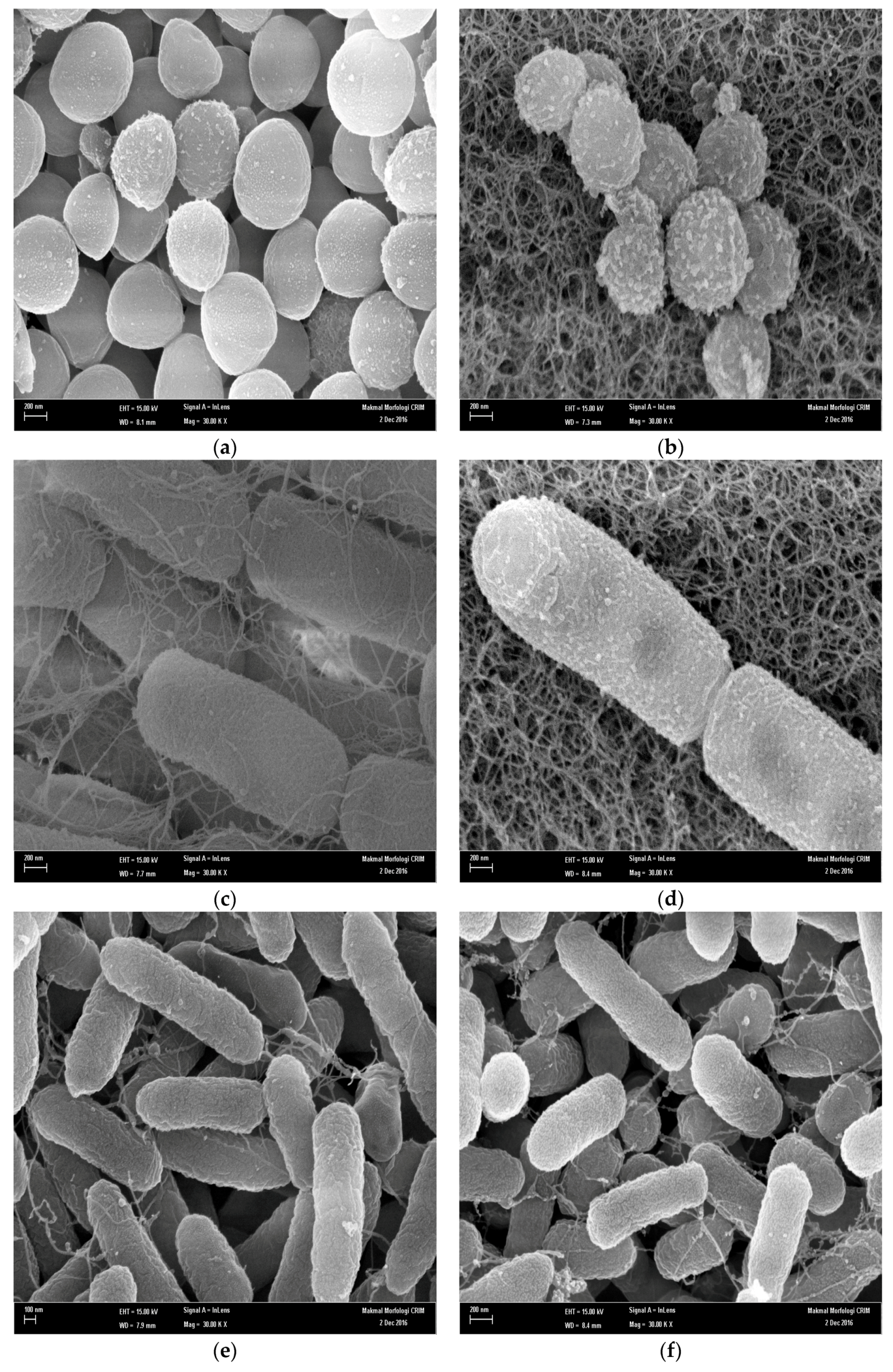 Molecules 22 00463 g002